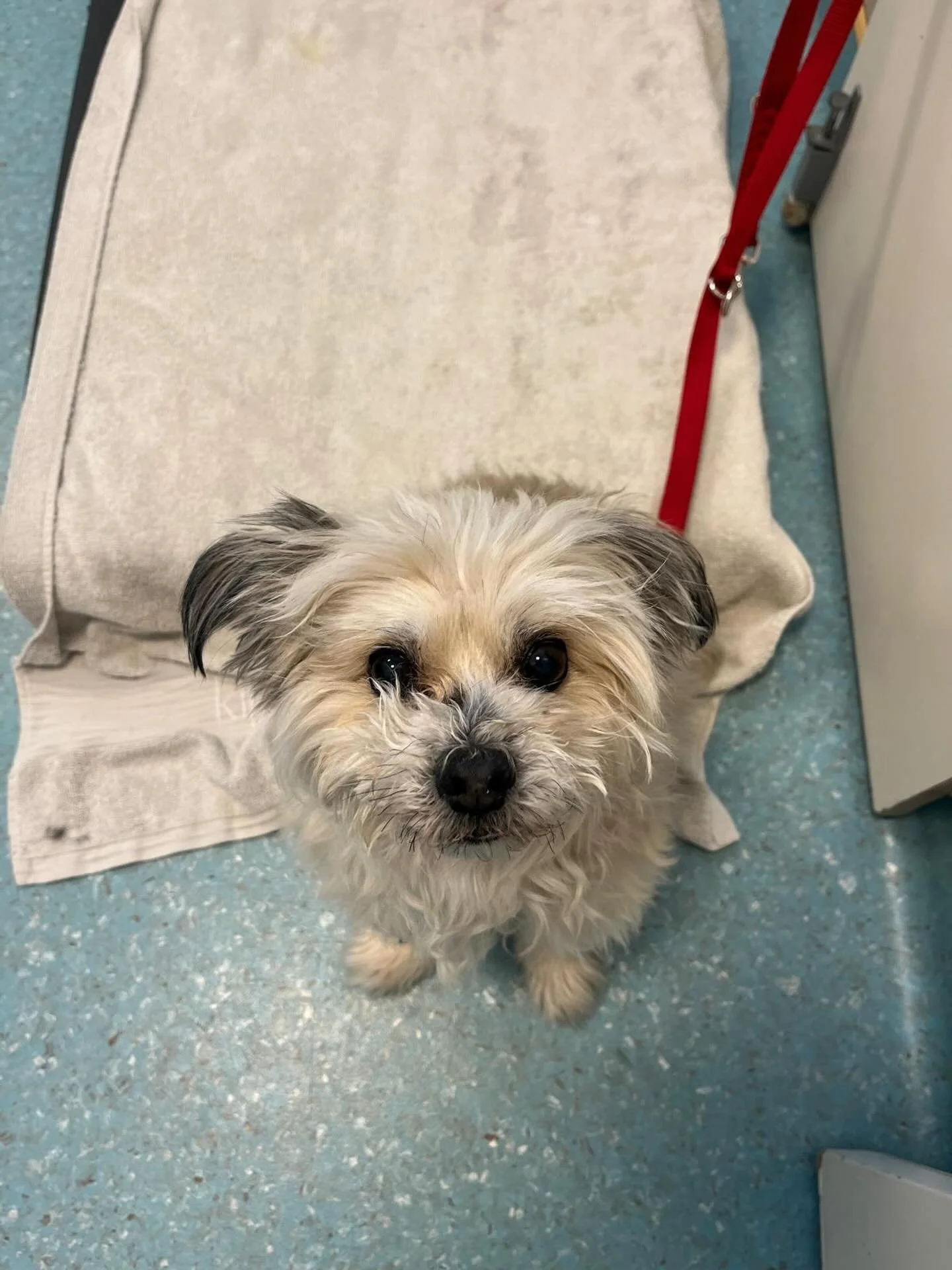 Aller schattigste Buddha 😍