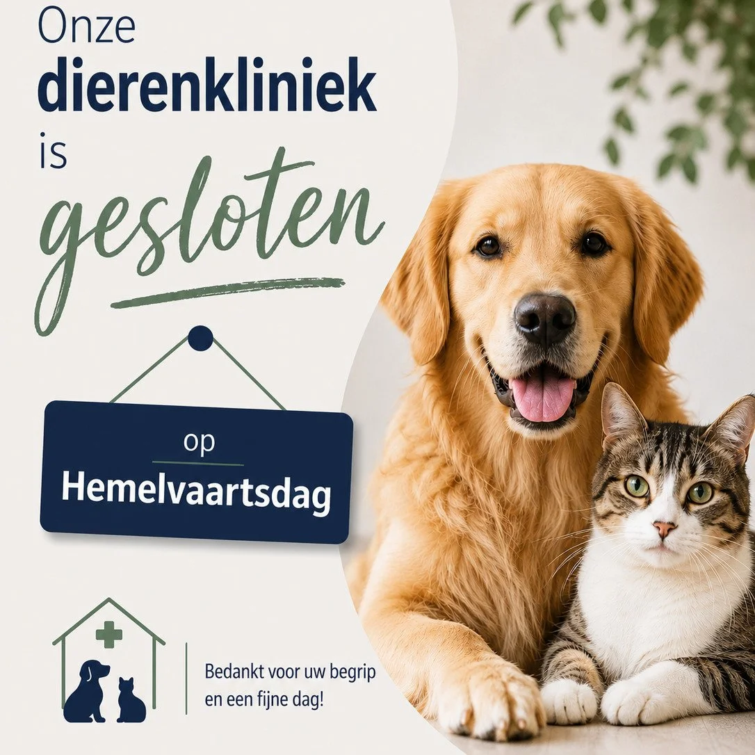 Met Hemelvaartsdag zijn wij gesloten! Voor spoed kunt u bellen naar 0900-2226333.