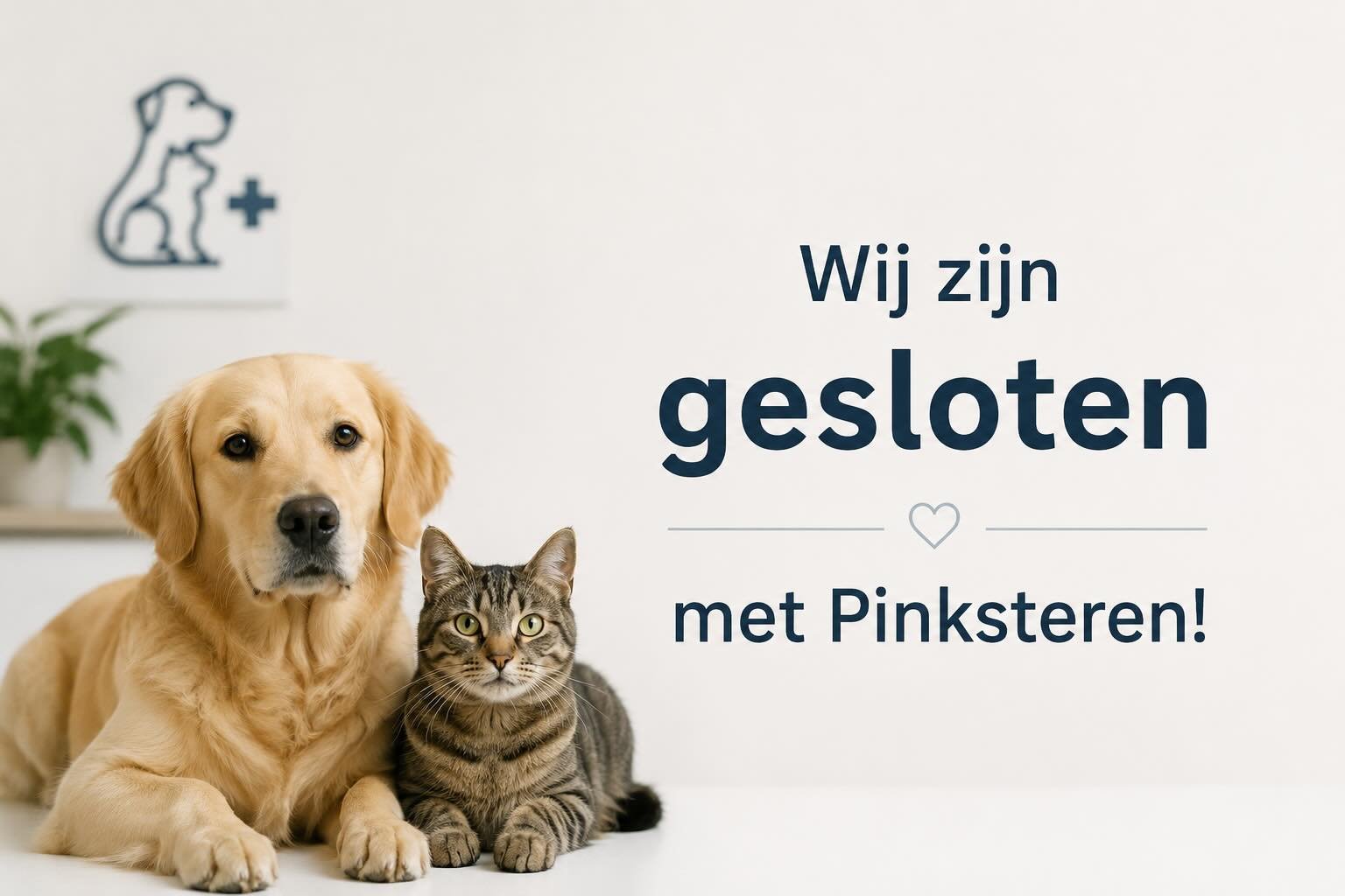 Met Pinksteren zijn wij gesloten! Voor spoed kunt u bellen naar 0900-2226333. Fijn Pinksterweekend! 🌞🌞🌞