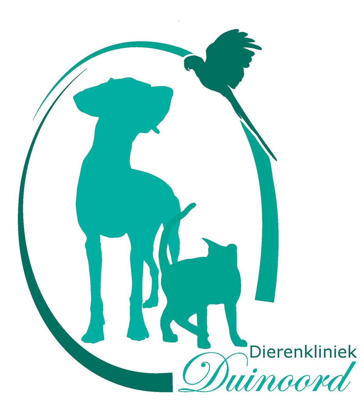 Liefdevolle zorg bij Dierenkliniek Duinoord: Uw lokale dierenarts in Den Haag