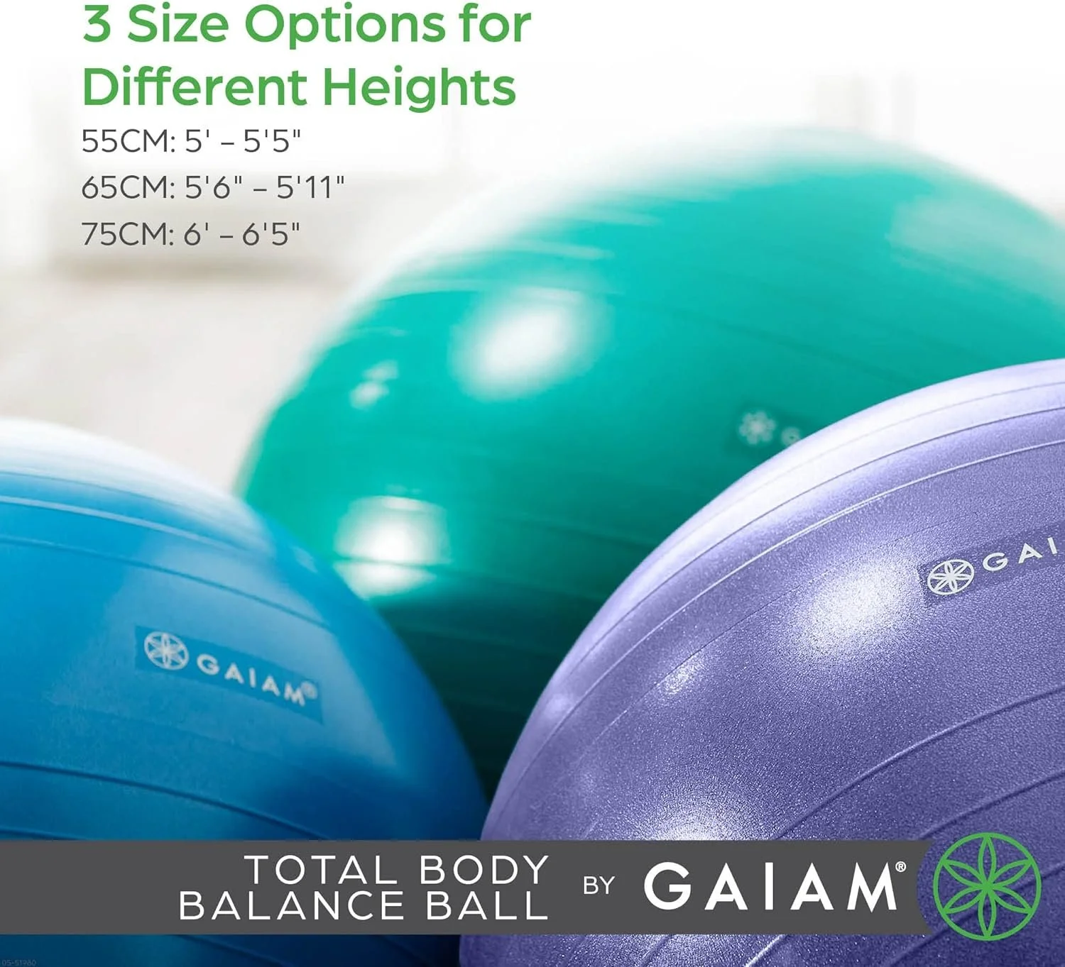 Giam exercise ball.jpg