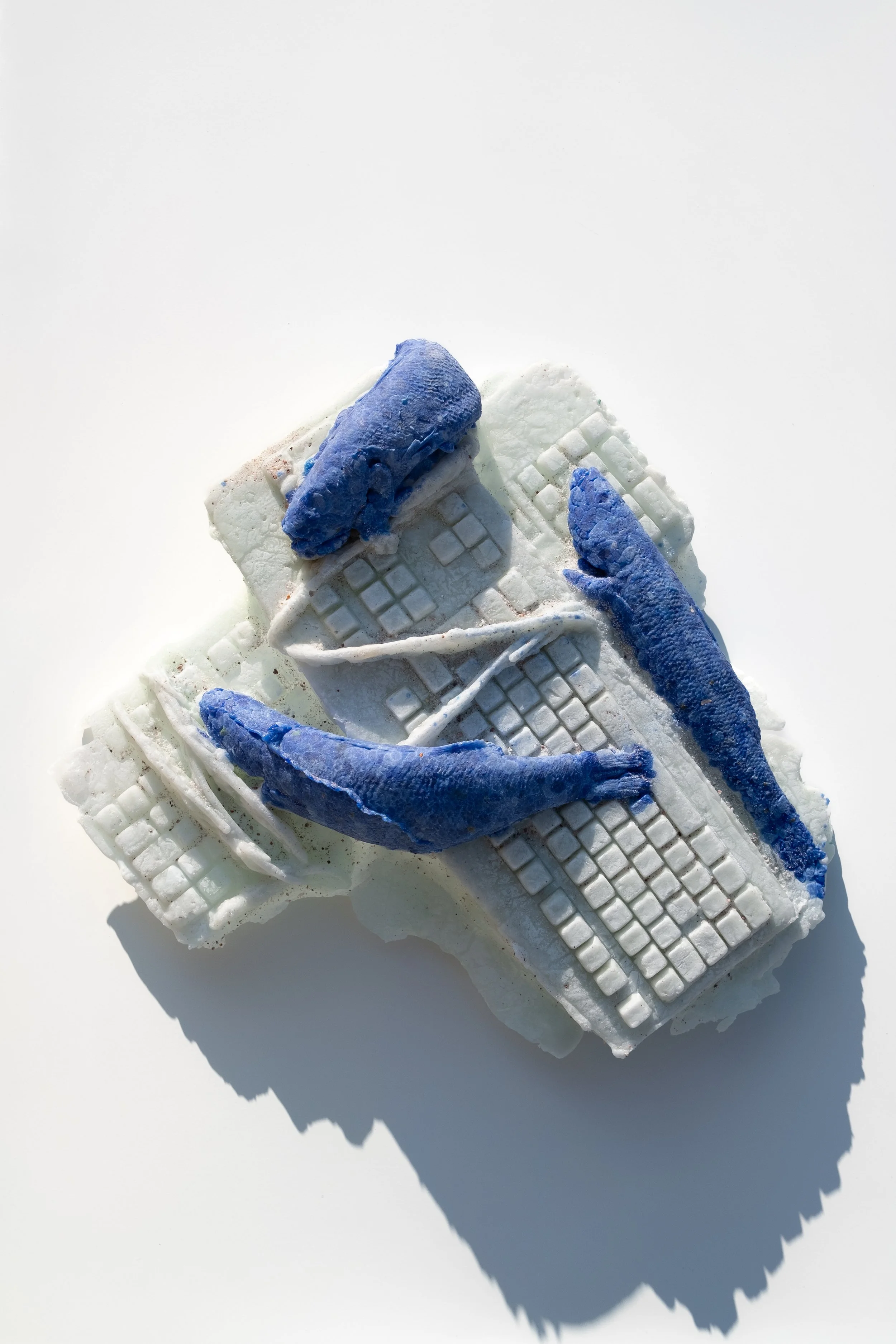 Antoine Félix Bürcher @ mudac - Lausanne, CH 