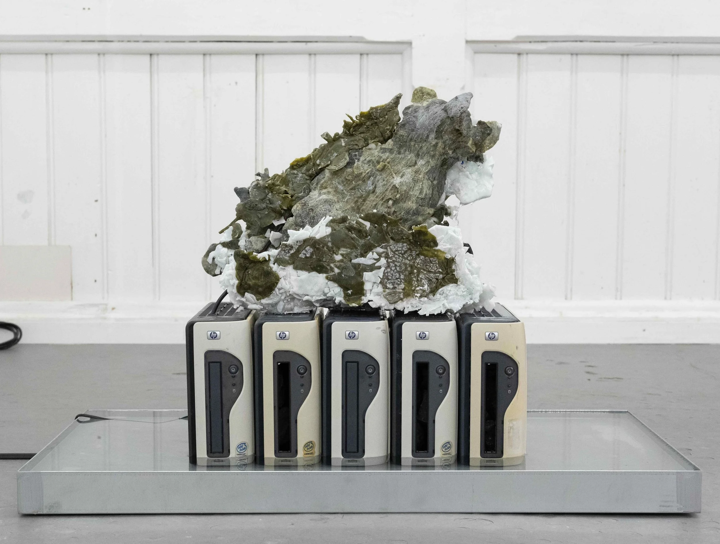 Antoine Félix Bürcher@ Grand Palais, Bern
