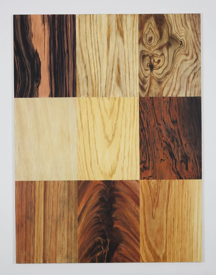 Vincent Kohler, Placages, 2011, oil on canvas, 180 x 135 cm