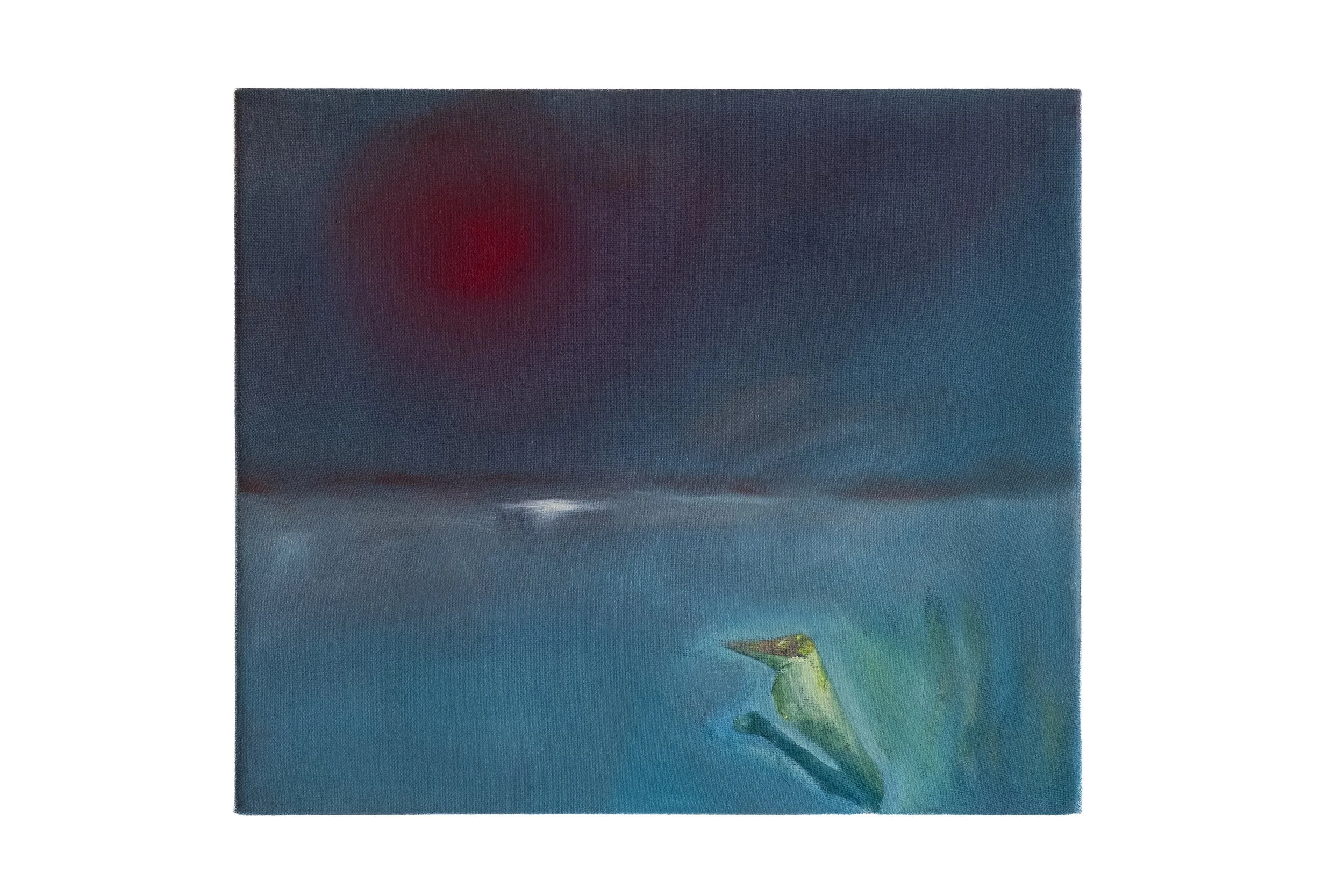 Colibri, 2025, oil on canvas, 30.5 x 36 cm