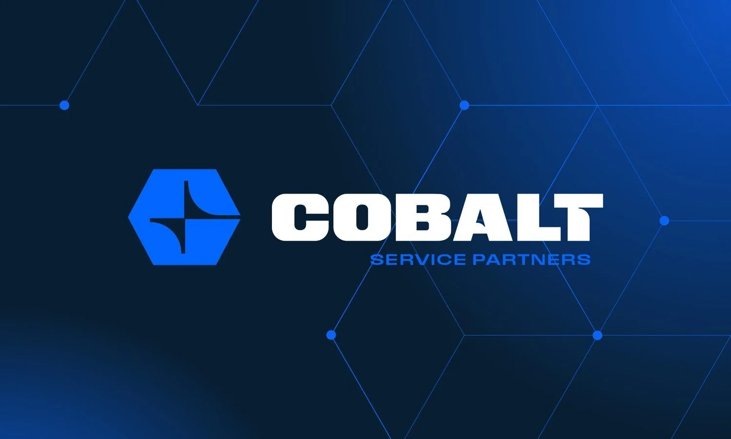 Cobalt Service Partners Appoints Chris Wise as Group CEO of Security Solutions