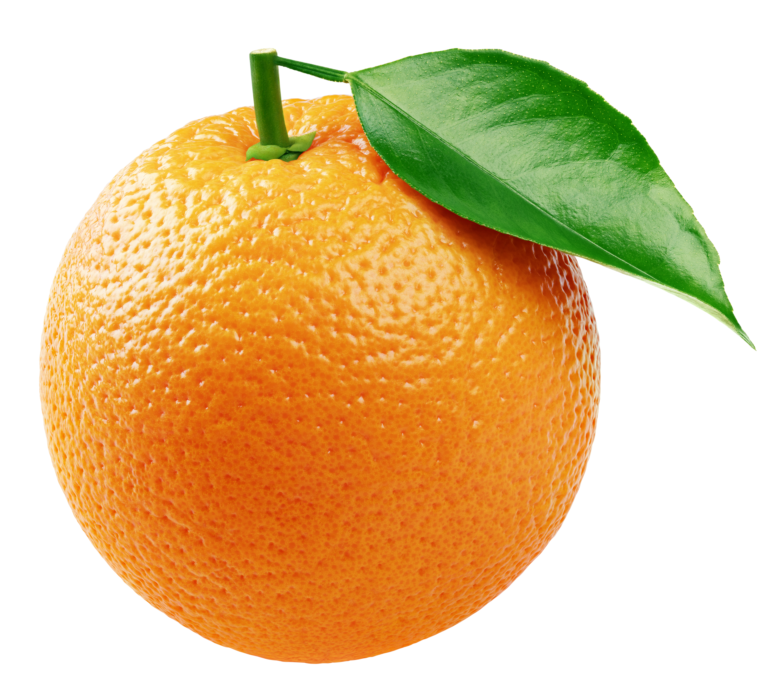 Wallpapering Over Textured Walls: The Truth, the Risks, and the Designer-Approved Solution