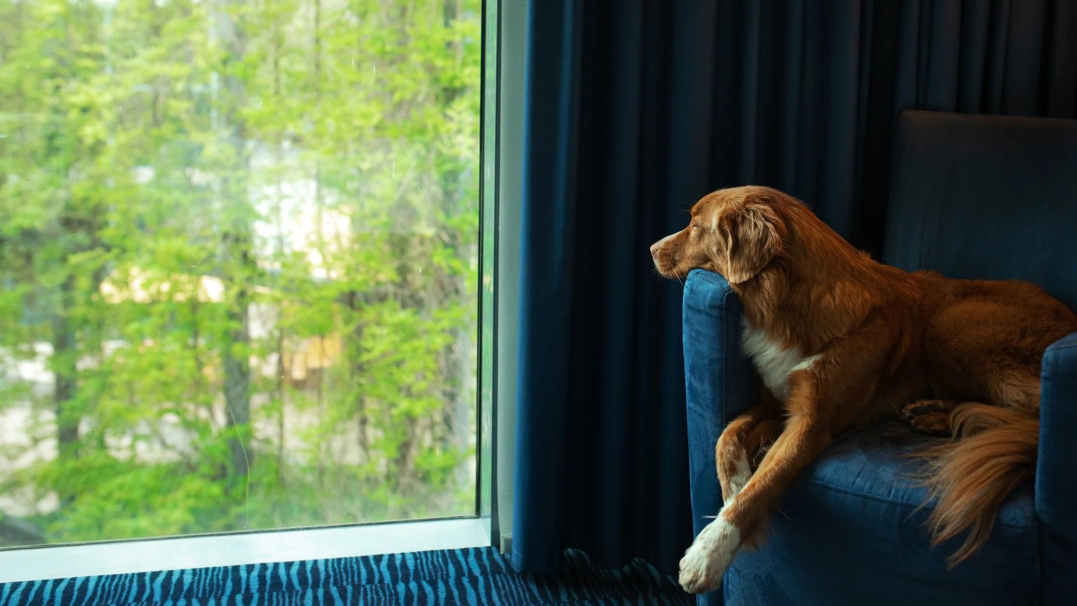 Performance Fabric Isn’t Just for Kids and Pets — Choosing Upholstery That Stands Up to Real Life