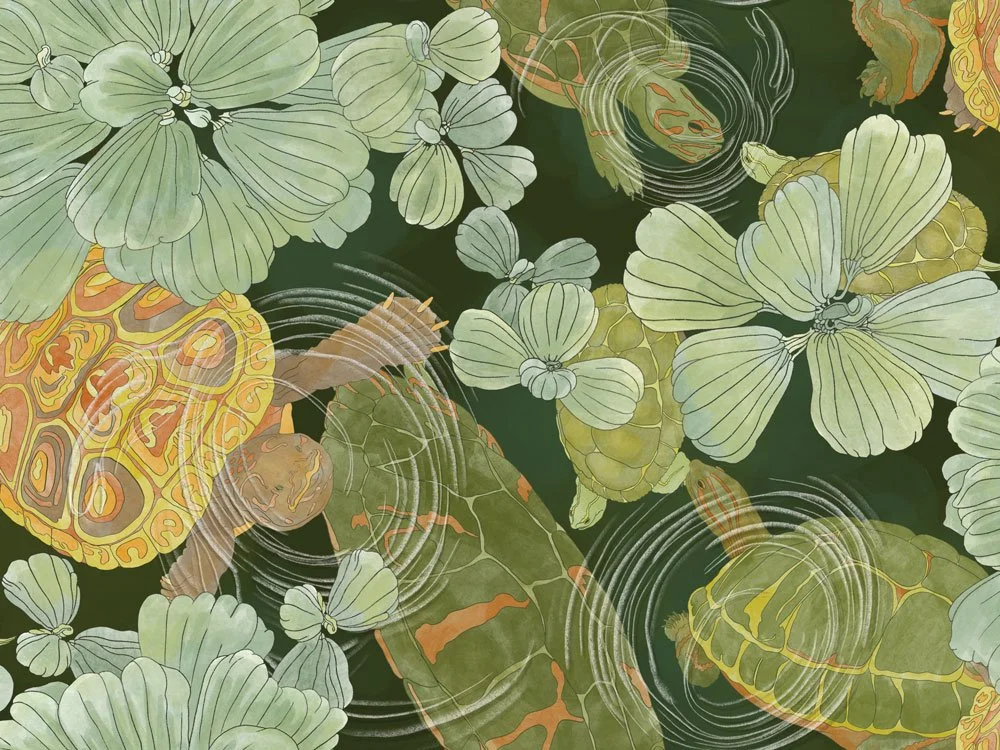 Earth's Sanctuary - Aqua Intima - Kame Zenshin
KZ-01 Deep Forest