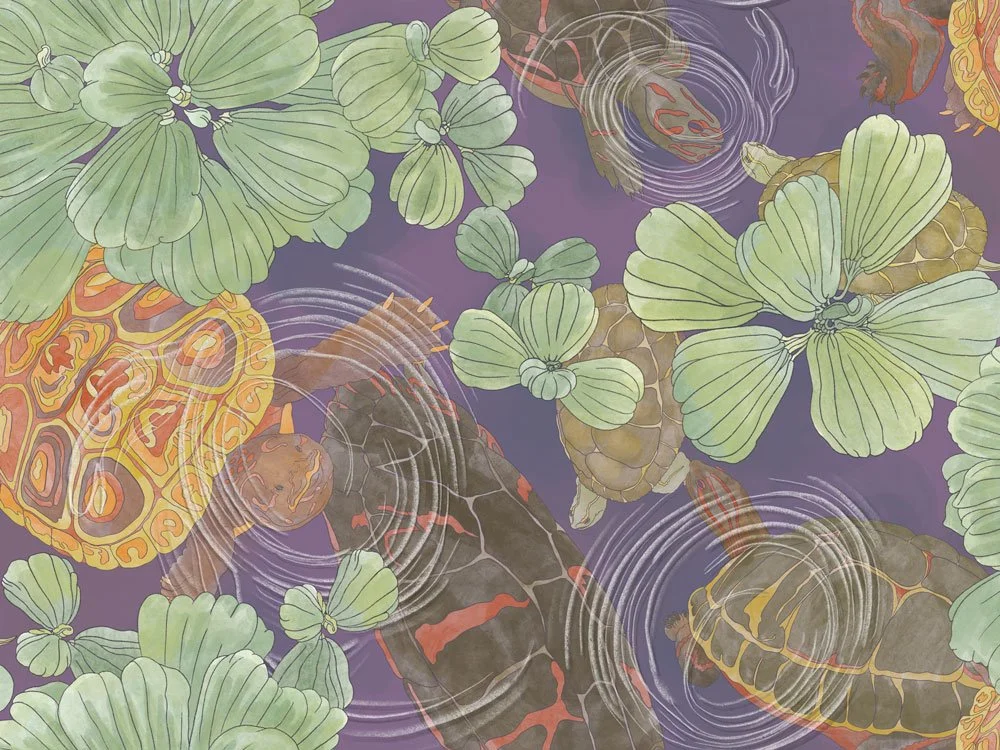 Earth's Sanctuary - Aqua Intima - Kame Zenshin
KZ-06 Violet Stream