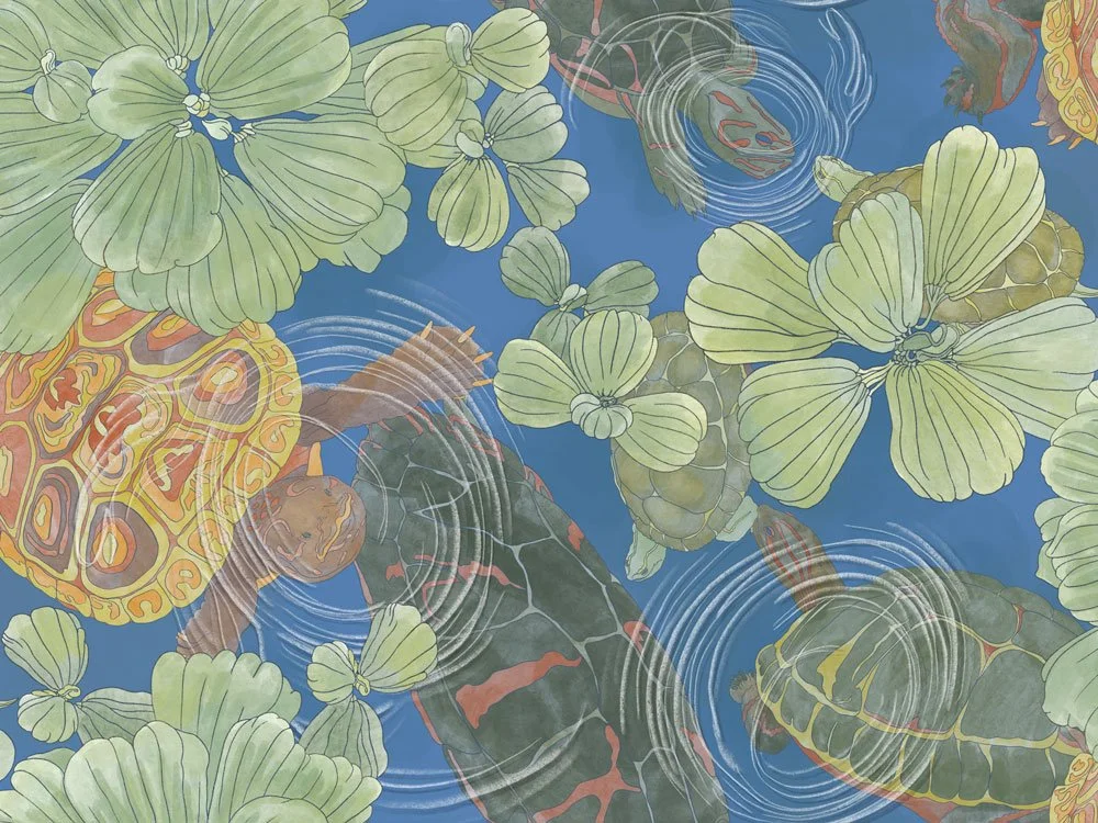 Earth's Sanctuary - Aqua Intima - Kame Zenshin
KZ-05 Dusk Sky