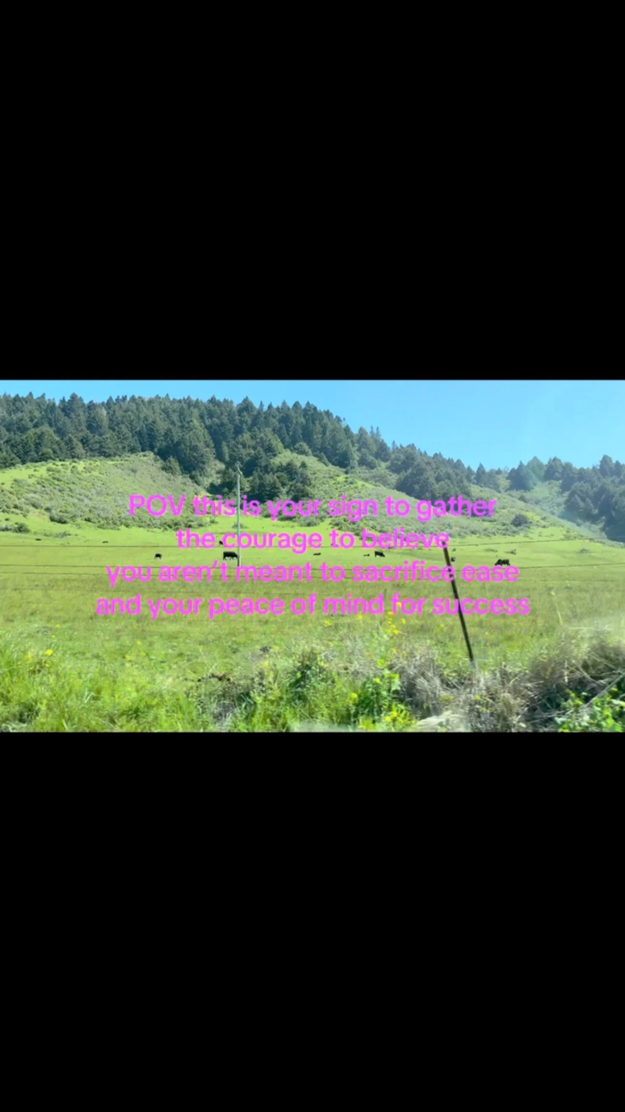 If you are feeling depleted and mentally drained the constant push to keep going in order to survive, assign to gather your courage to believe that you weren’t meant to sacrifice peace of mind for success. There is a better way to be in flow wi