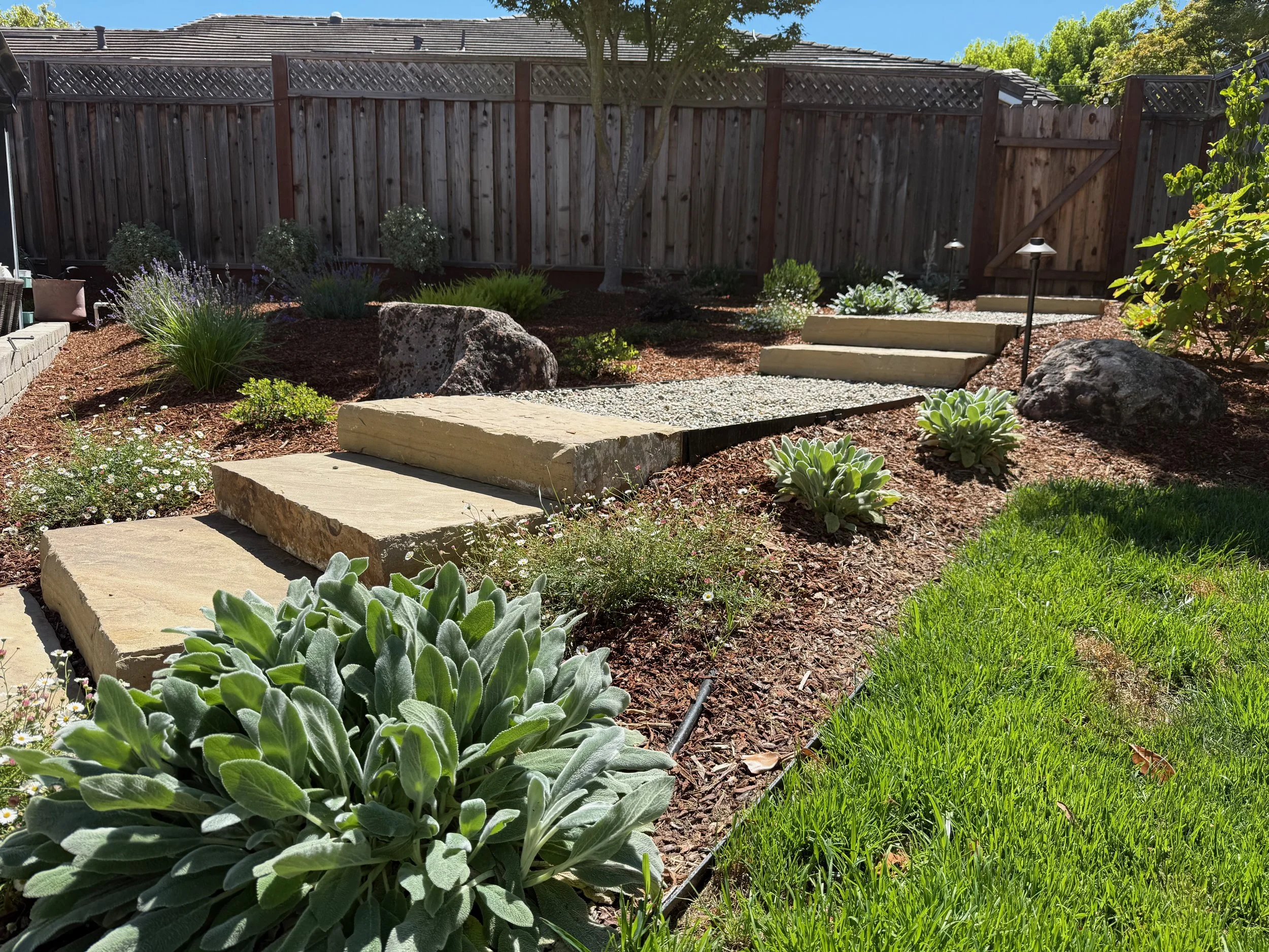 Drought tolerant landscape with Dakota steps and gravel walkways.
