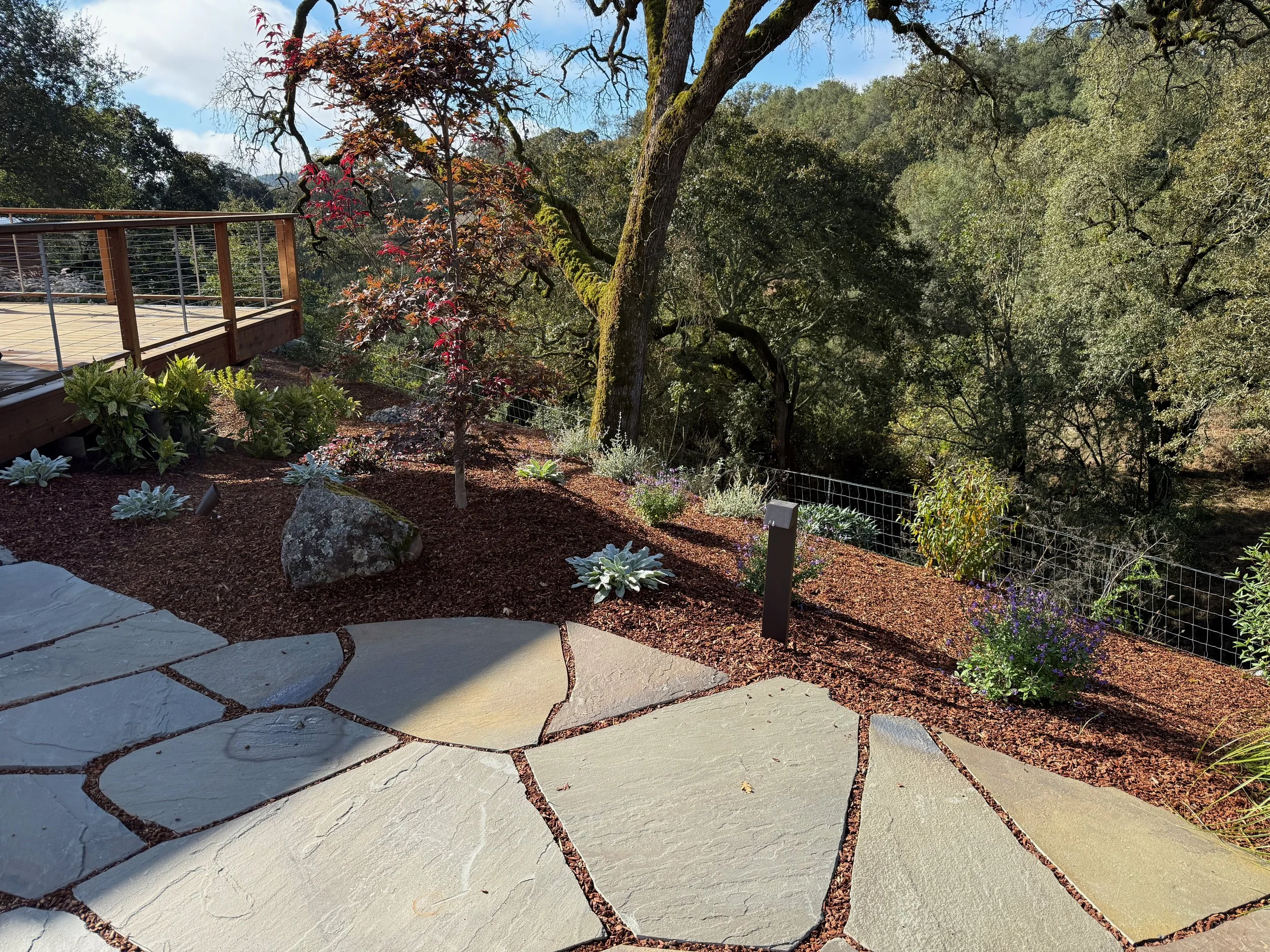 Flagstone patio along creekside with Japanese maple tree and native plants surrounding.