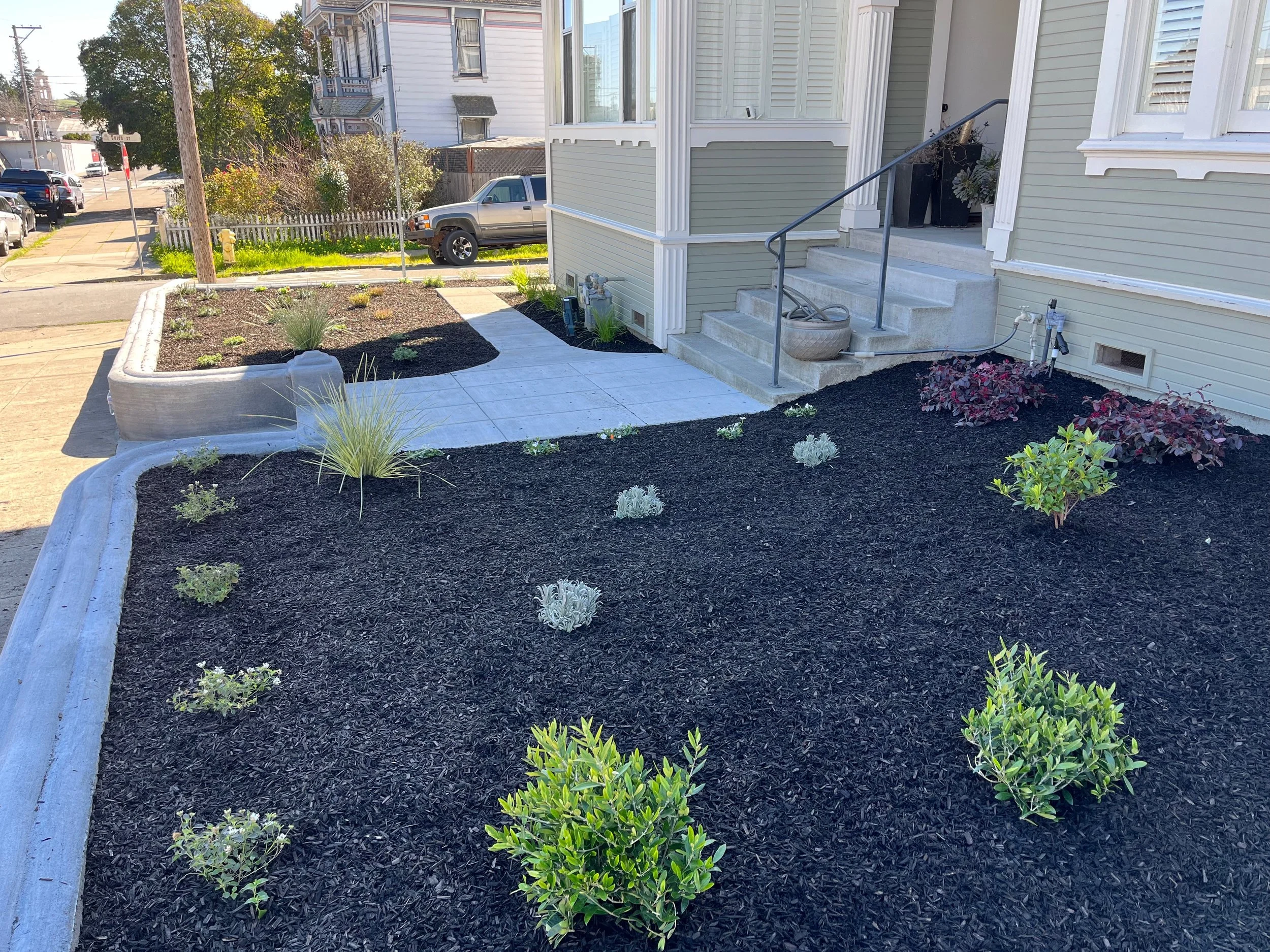 New landscape installation in Petaluma, CA.