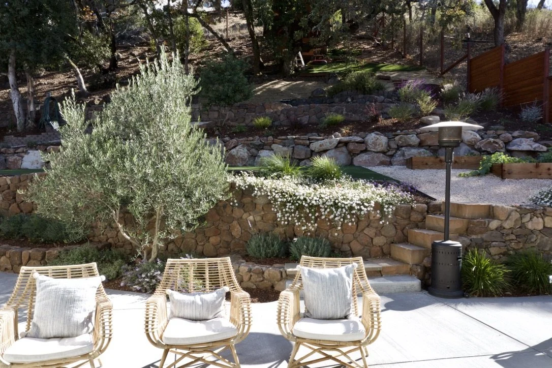 Benefits of Drip Irrigation Systems in Sonoma County Landscapes