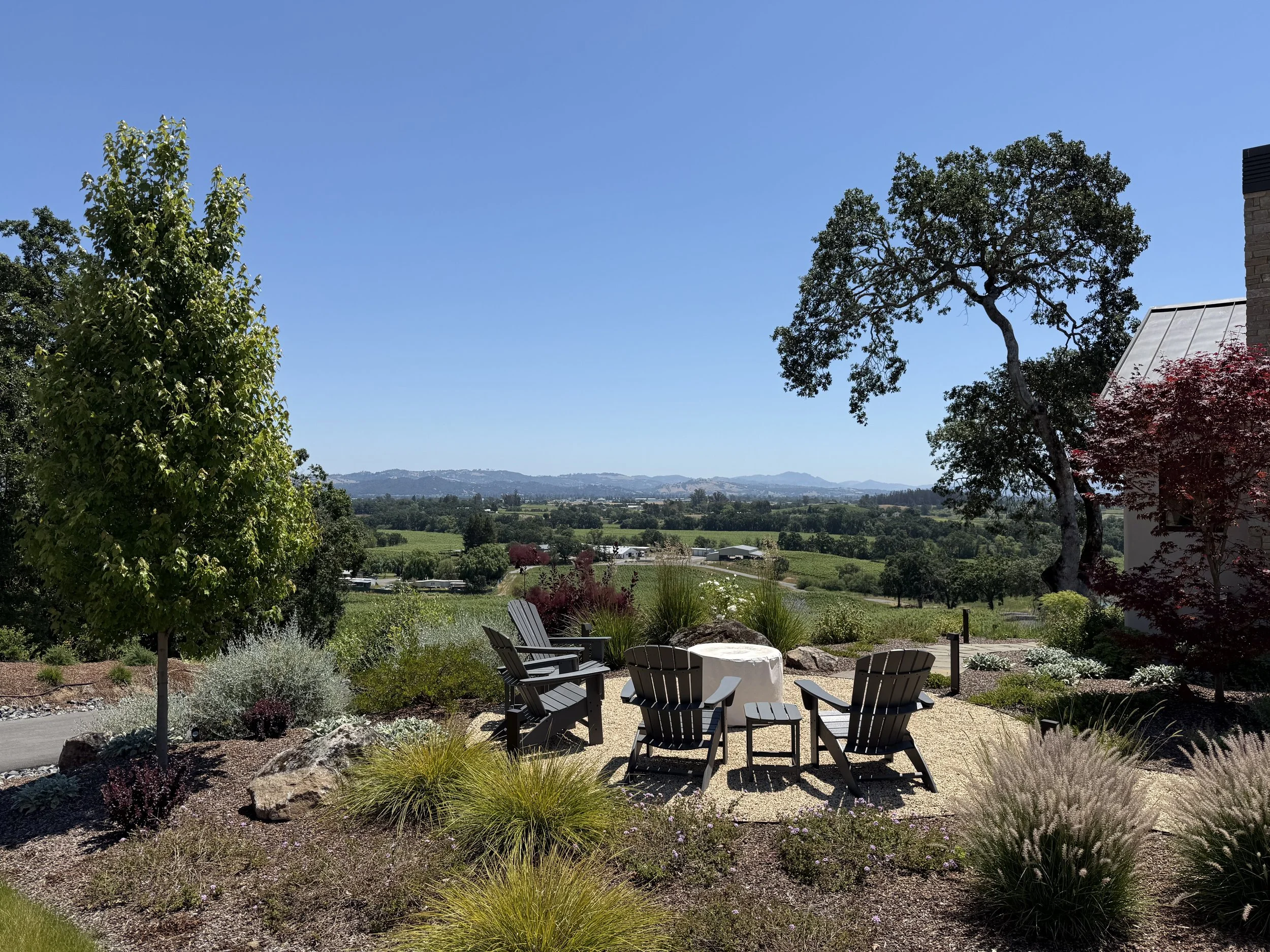 The Beauty and Benefits of Using Ornamental Grasses in the Landscape