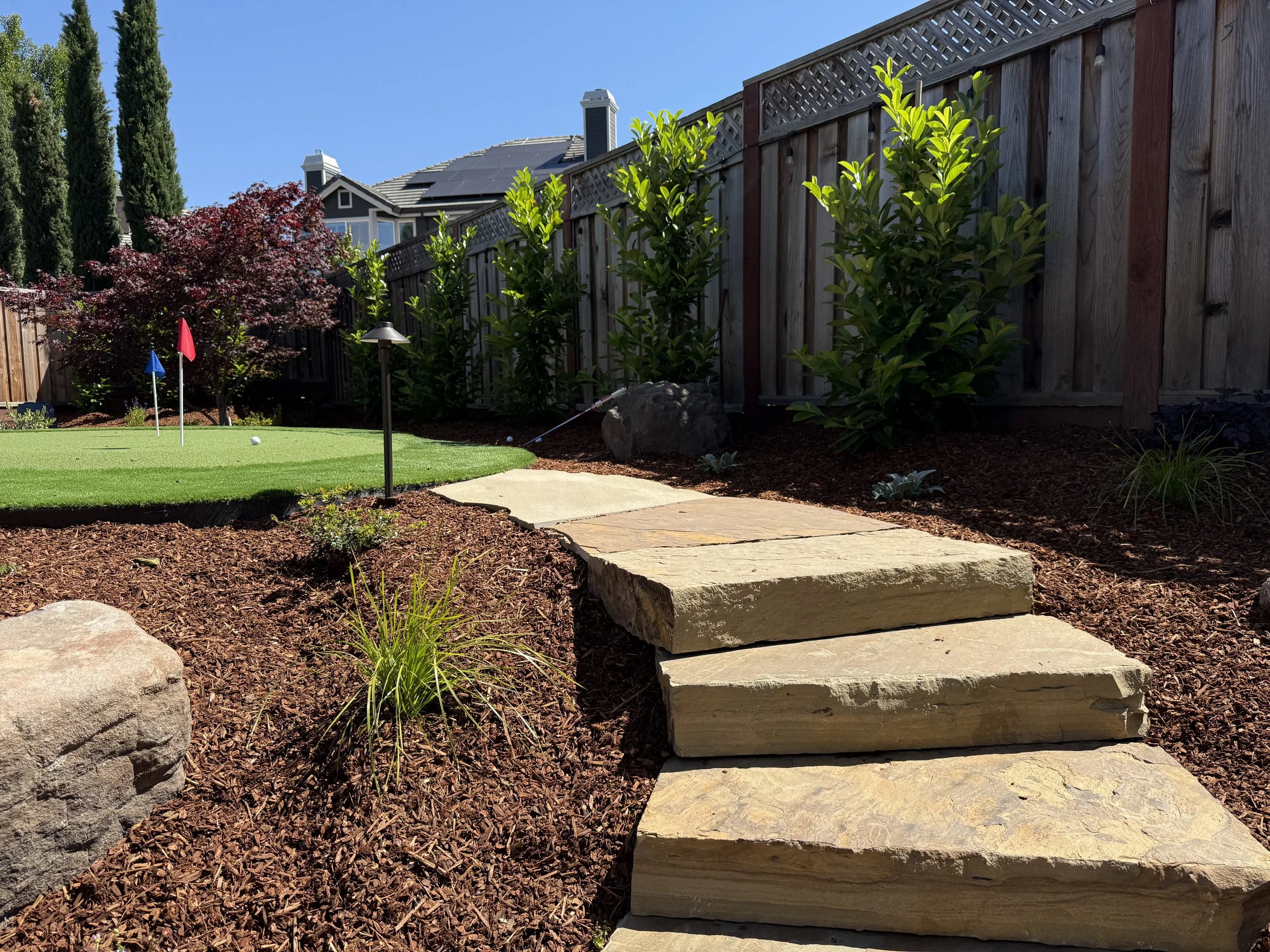 The Power of Screening Shrubs: Privacy, Beauty &amp; Function in the Landscape