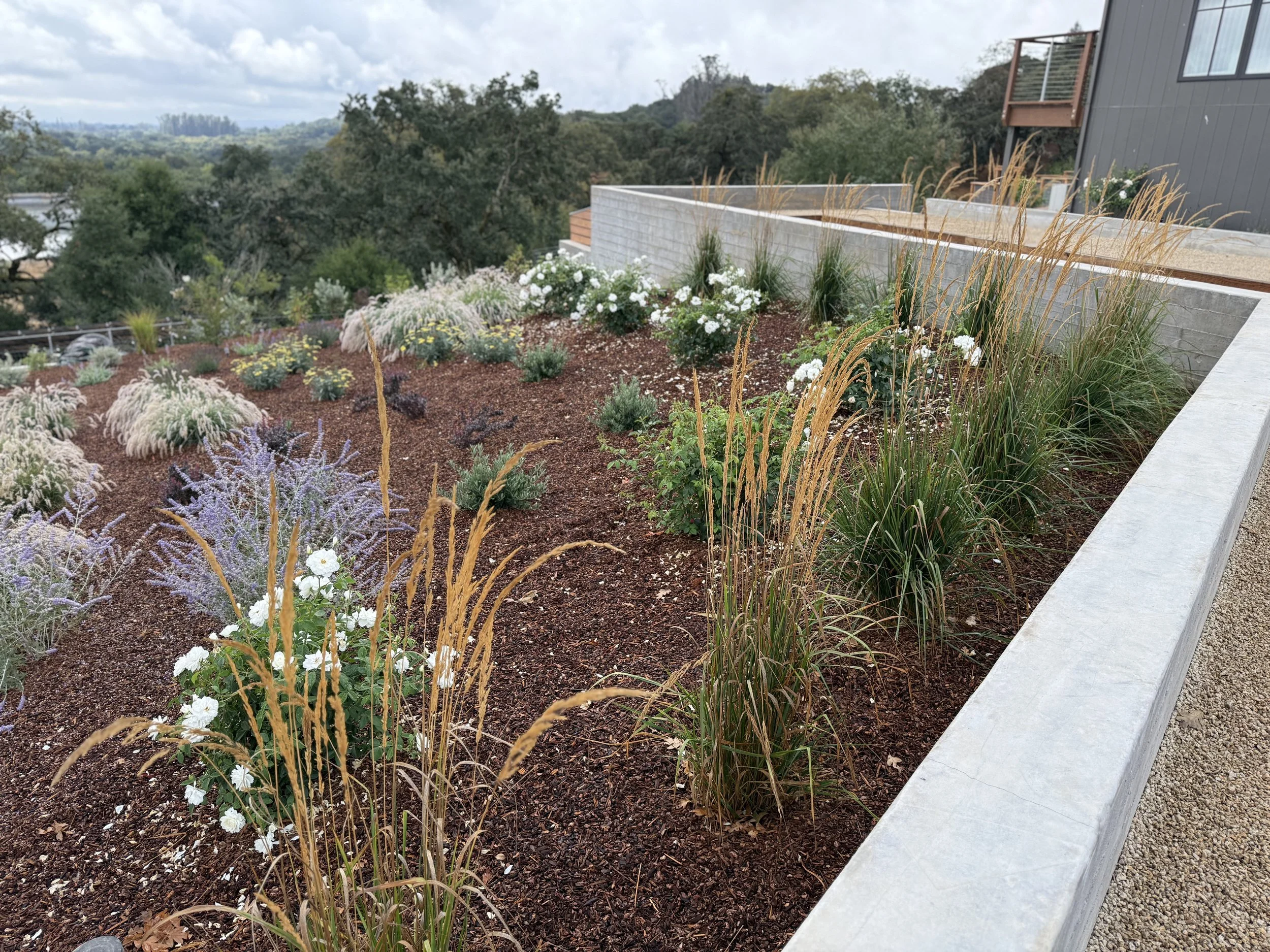 Winter Landscape Maintenance &amp; Perennial Pruning: Why It Matters for a Healthy, Beautiful Yard
