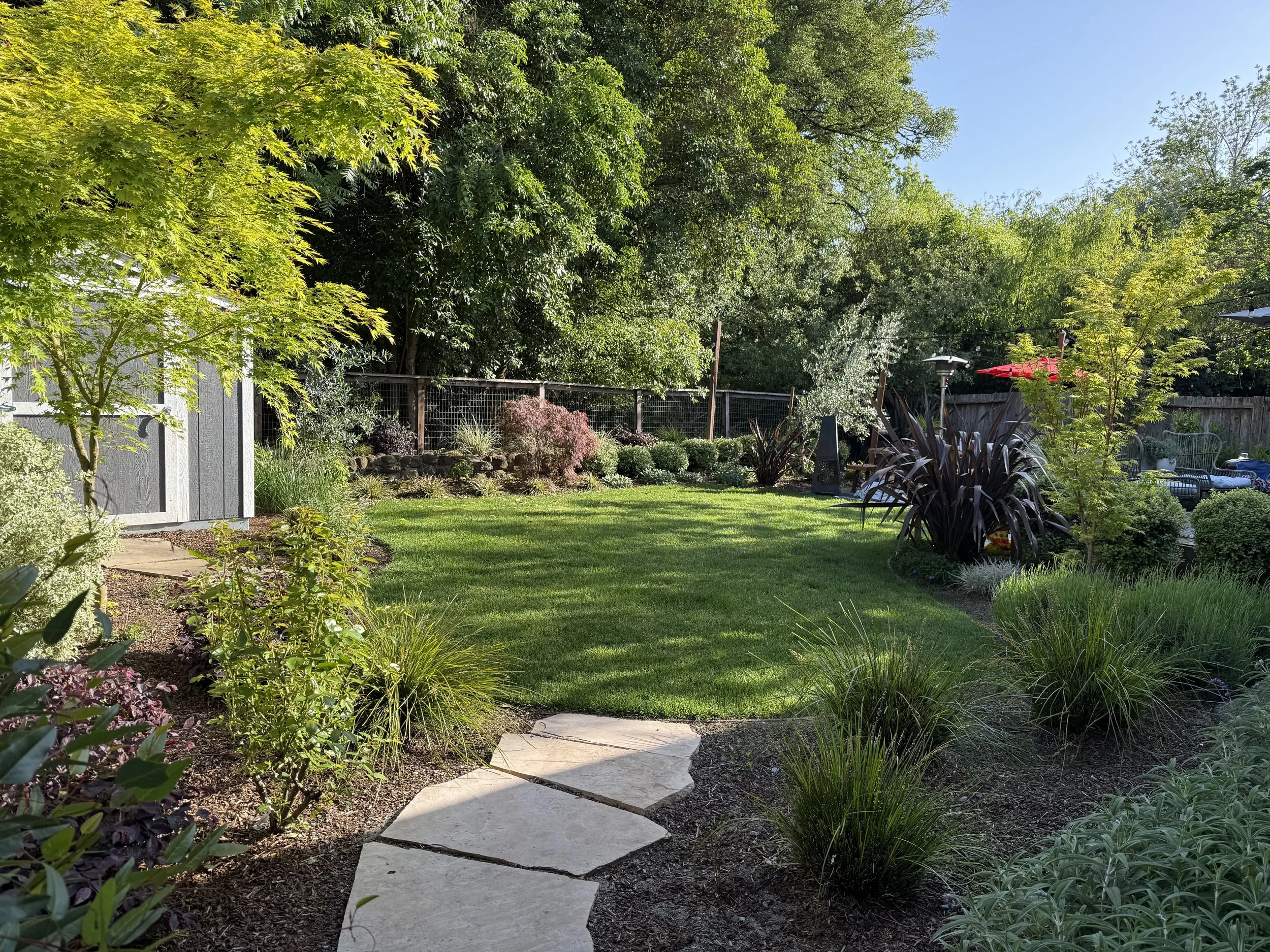 The Art of Balancing Color and Texture in a Garden
