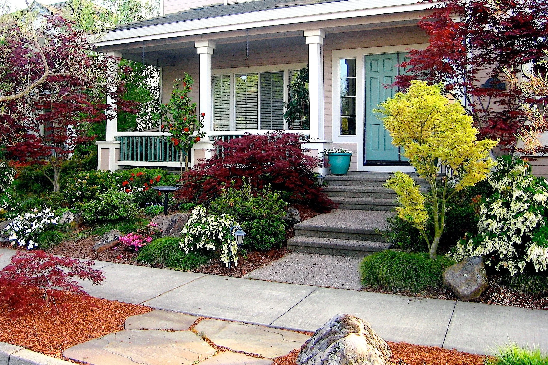 The Best Shade Plants &amp; Trees for Beautiful Sonoma County Landscapes