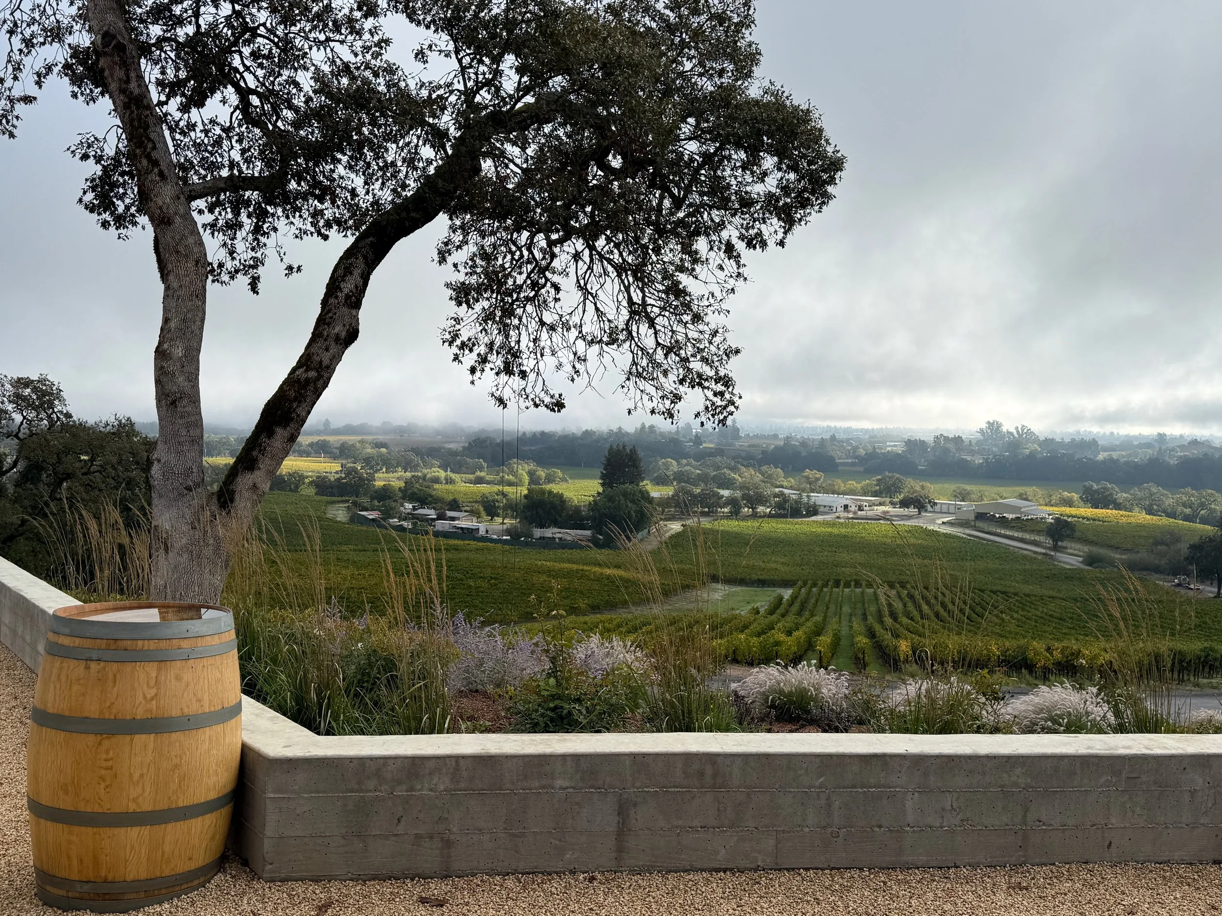 Modern concrete retaining wall in Sonoma County, CA.