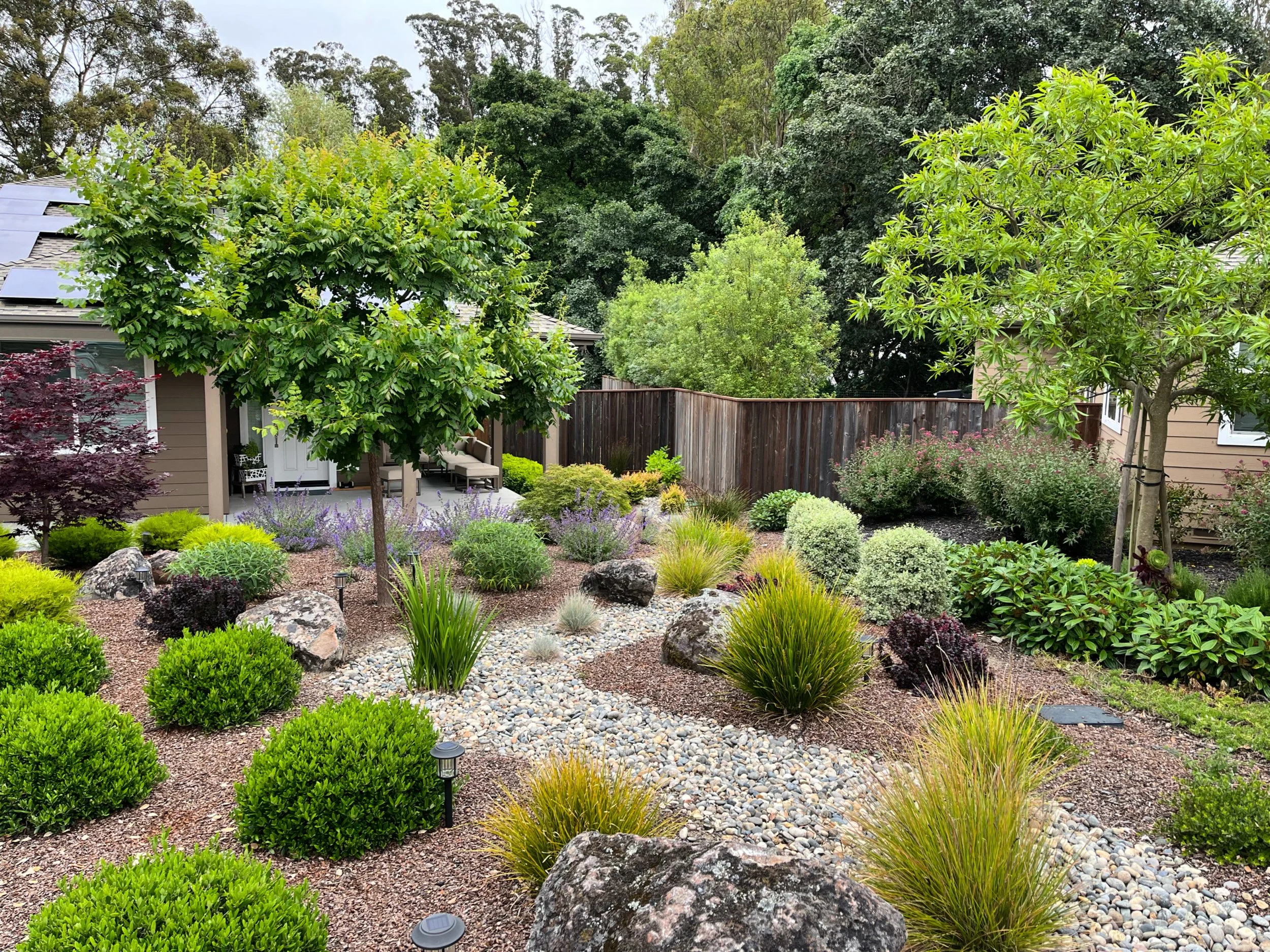 Featured Garden: Cotati, California  A Front & Backyard Landscape Designed Around Nature