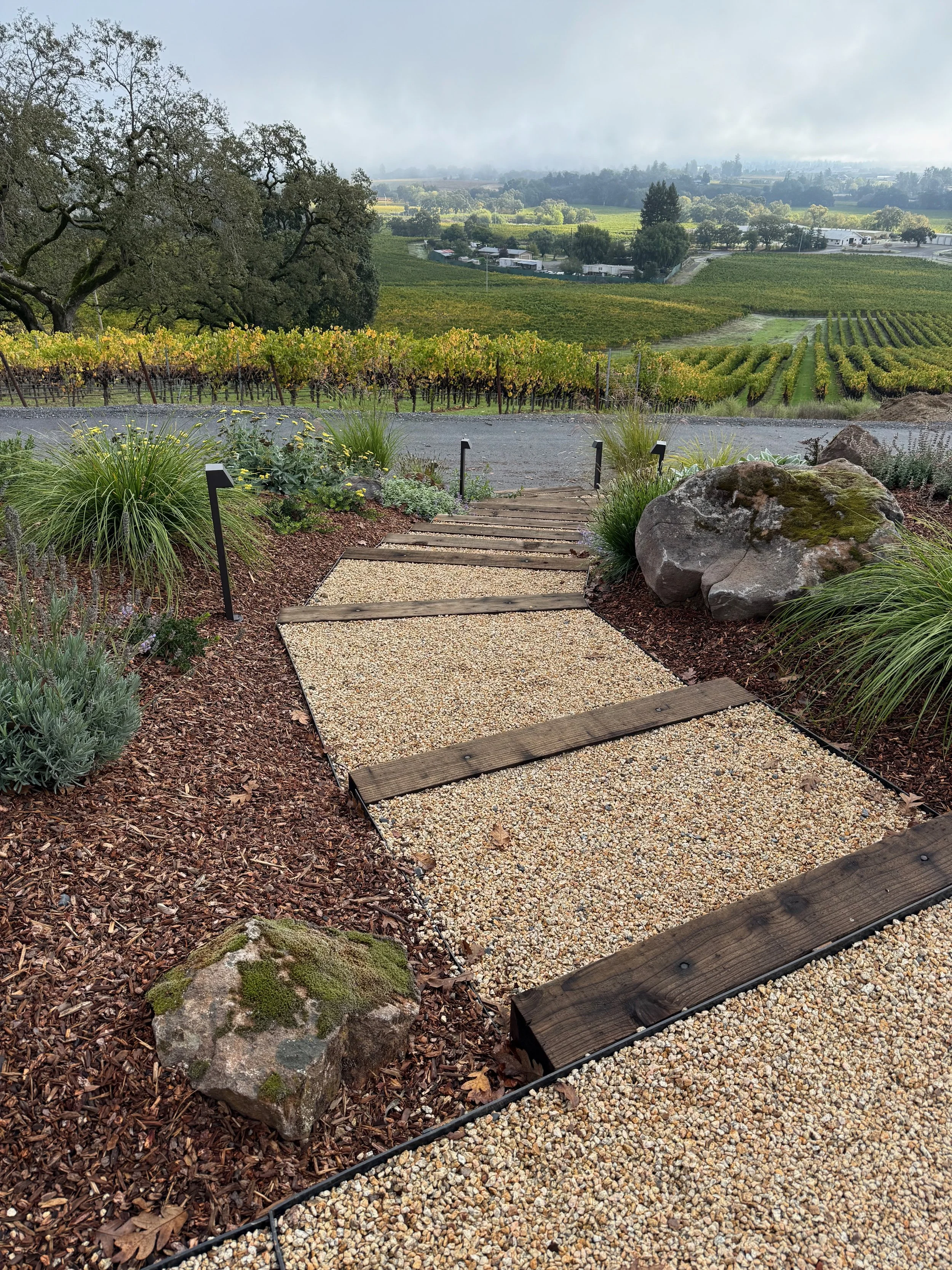 Vineyard landscape with wood and gravel steps in Windsor, CA.
