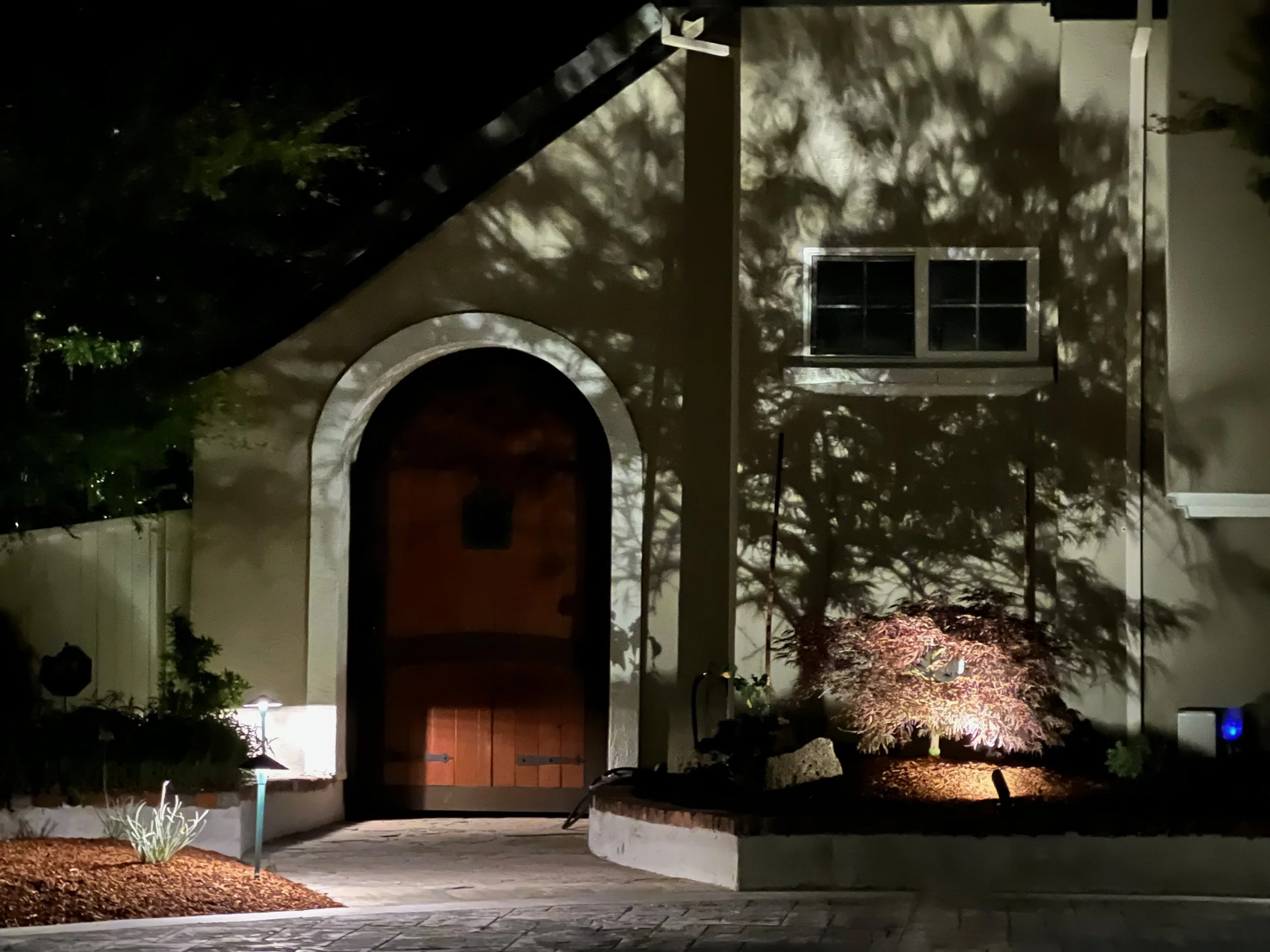Low voltage landscape lights cast shadows through Japanese Maple against house.