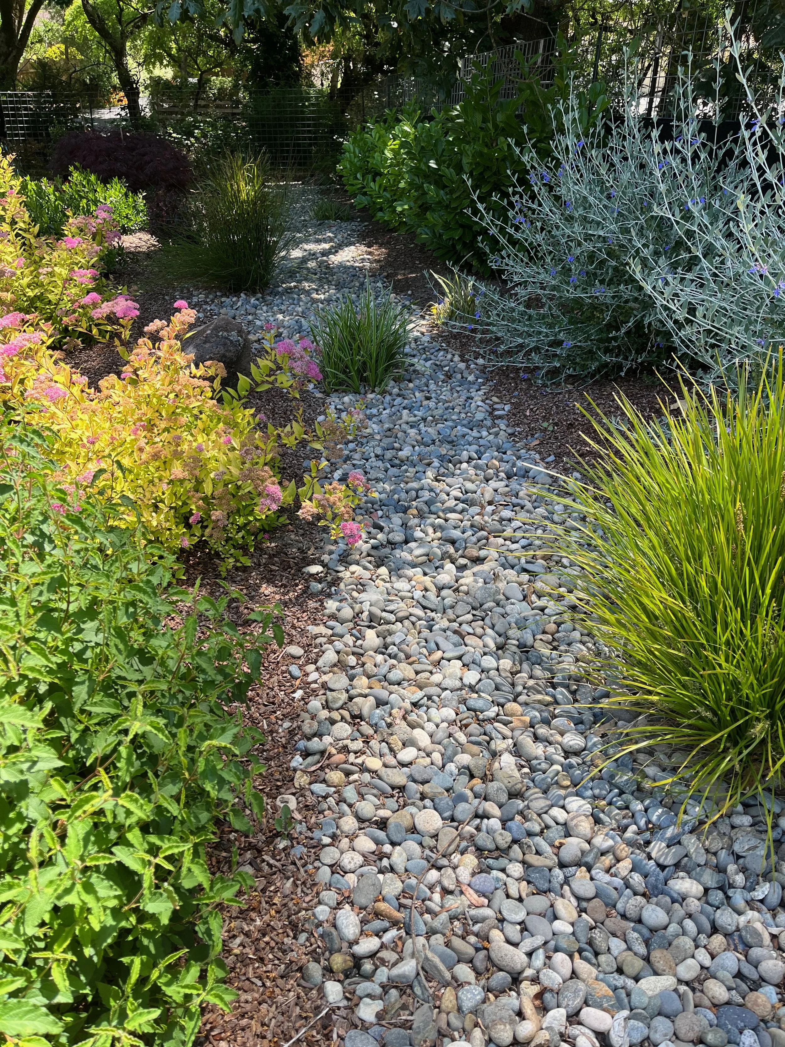 Riverbed landscape with grasses and native plantings.