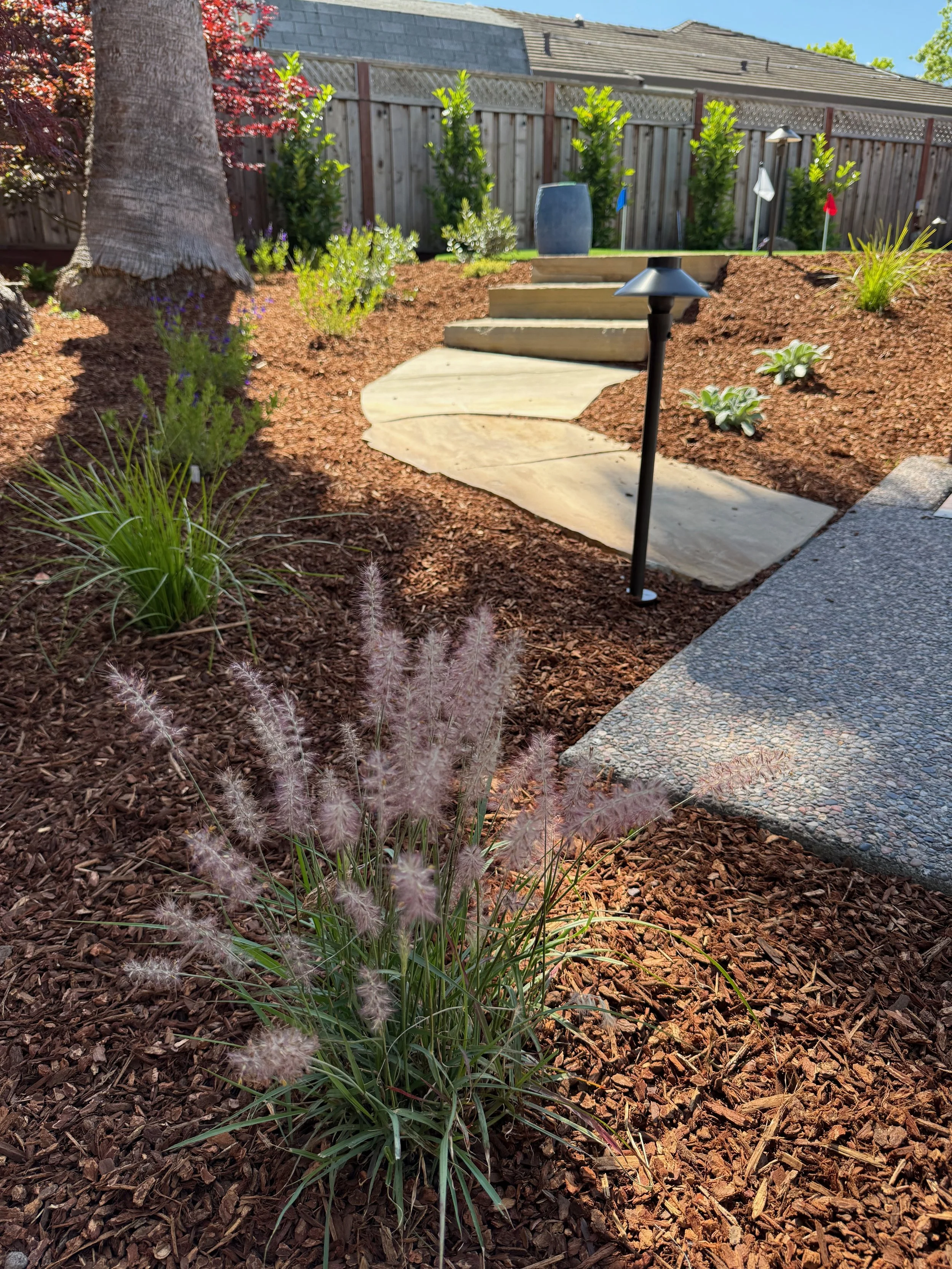 Ornamental grass with stone walkway and low maintenance plants.