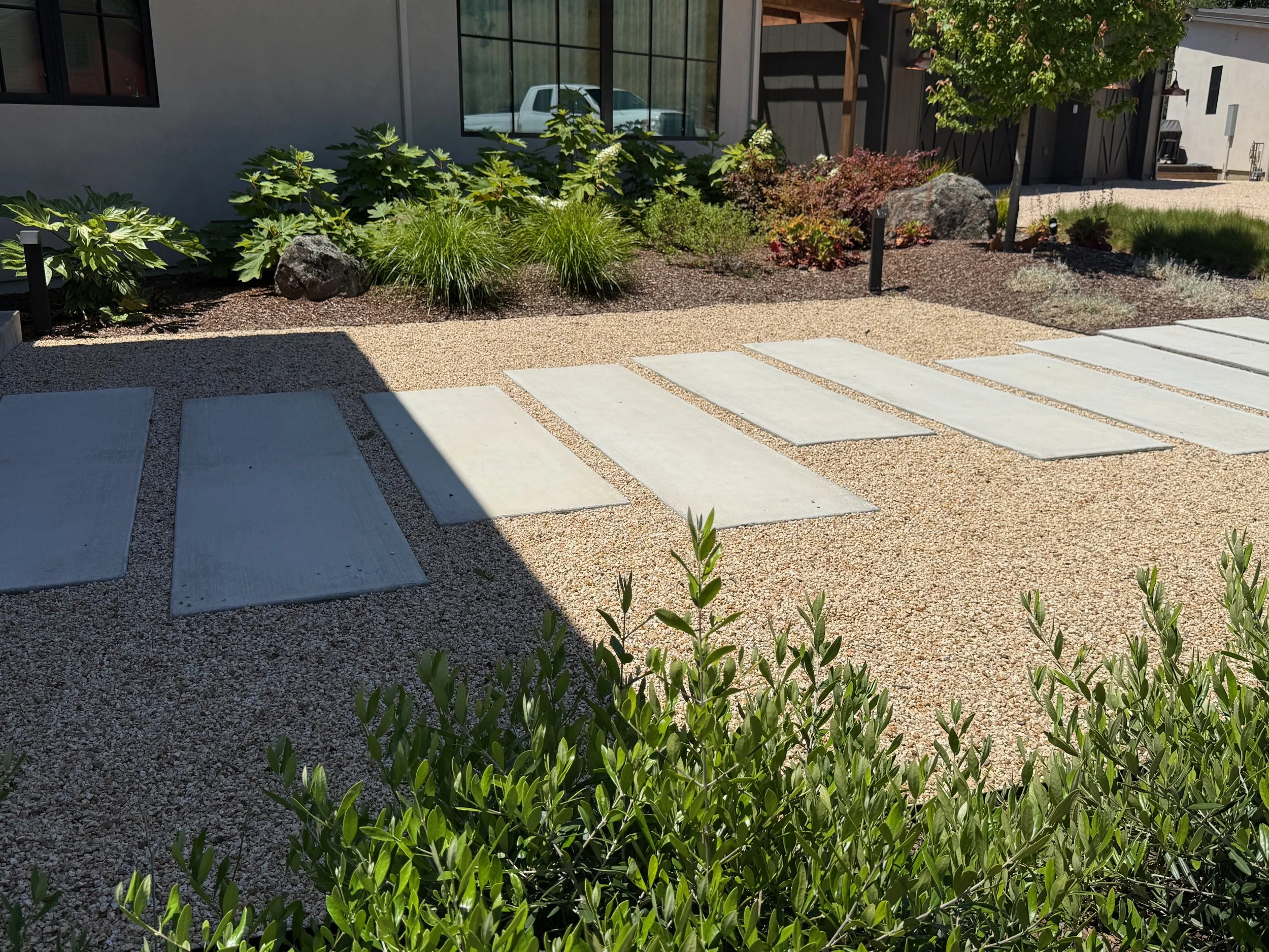 Rectangular concrete walkway with surrounding gold gravel and dwarf olive shrubs in foreground.