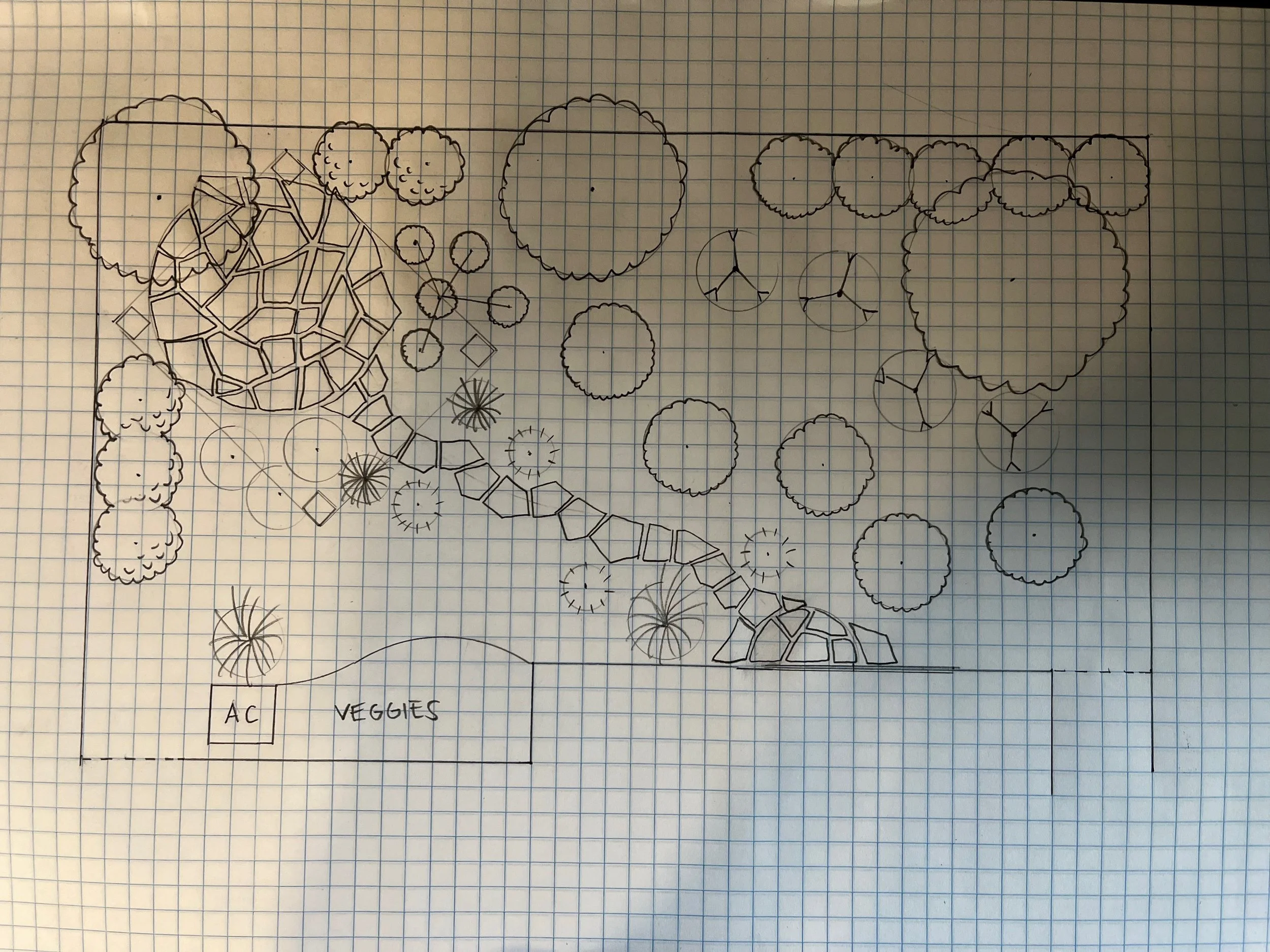 Small backyard landscape design in Petaluma, CA.