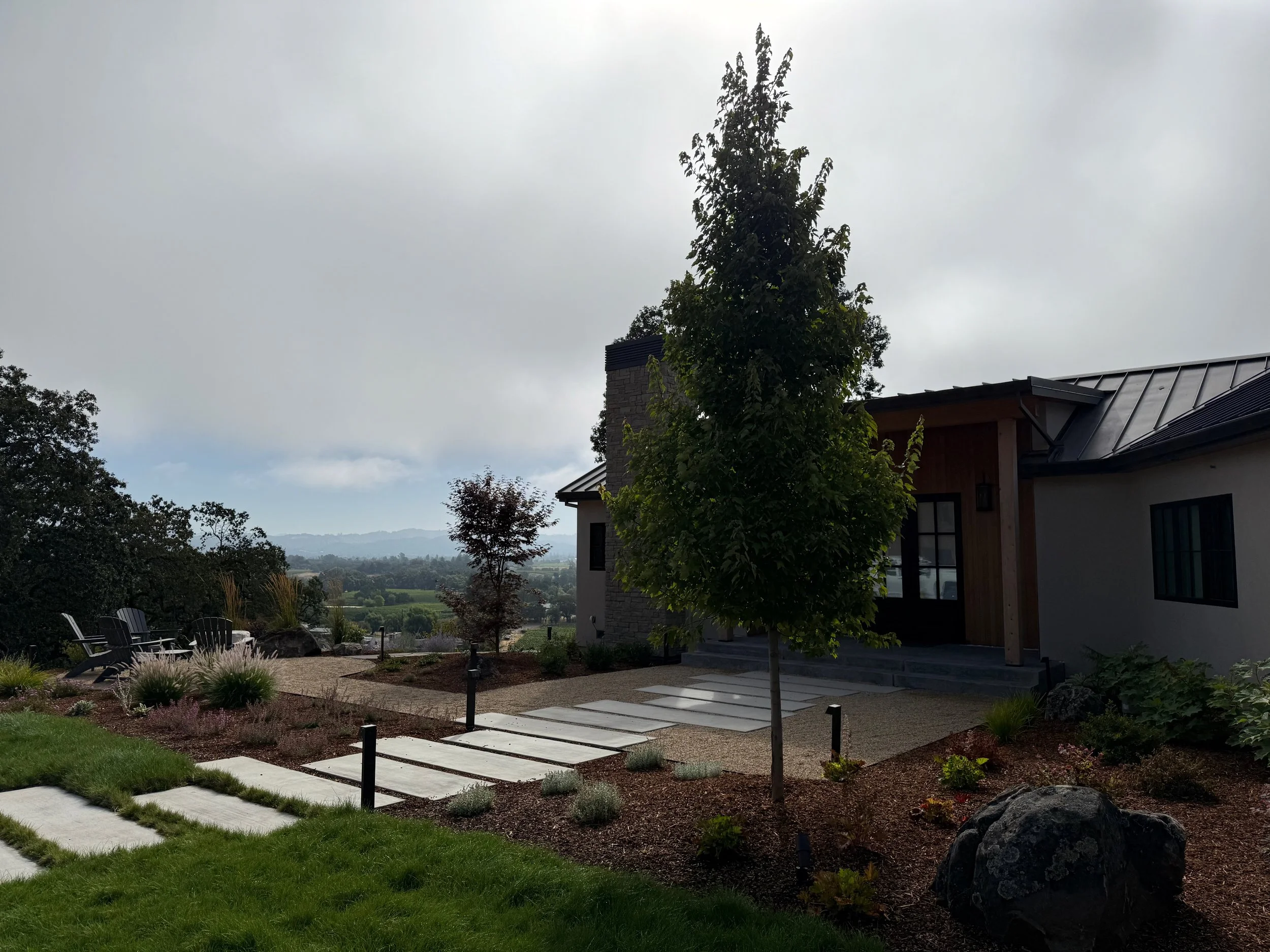 Modern concrete pathway with gravel patio, outdoor lighting, and October Glory Maple trees in Windsor, CA.
