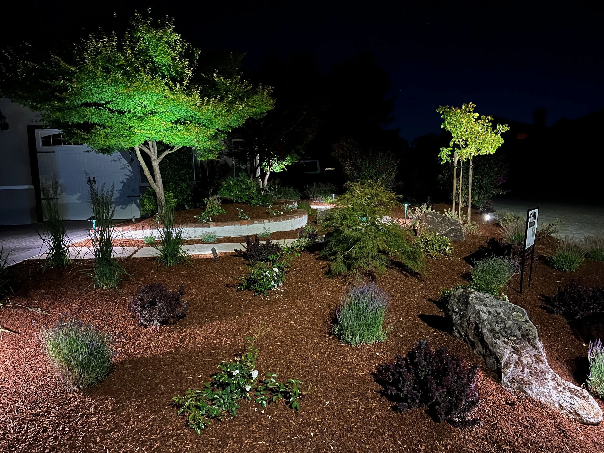 Front yard landscape renovation with boulders and path lighting in Petaluma, CA.