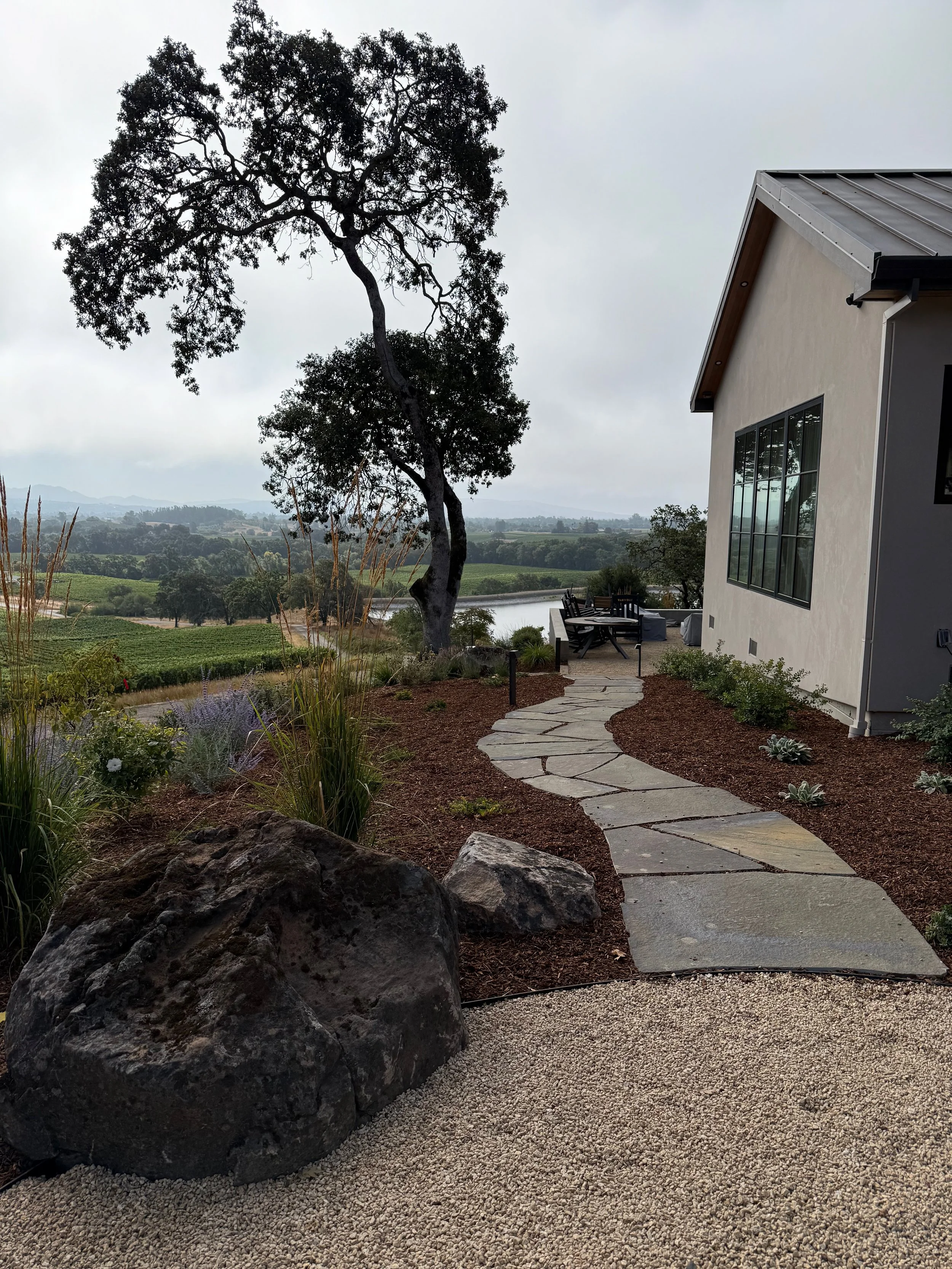 Large sonoma fieldstone boulder overlaps gravel patio and bluestone walkway meanders through native landscape in Windsor, CA.