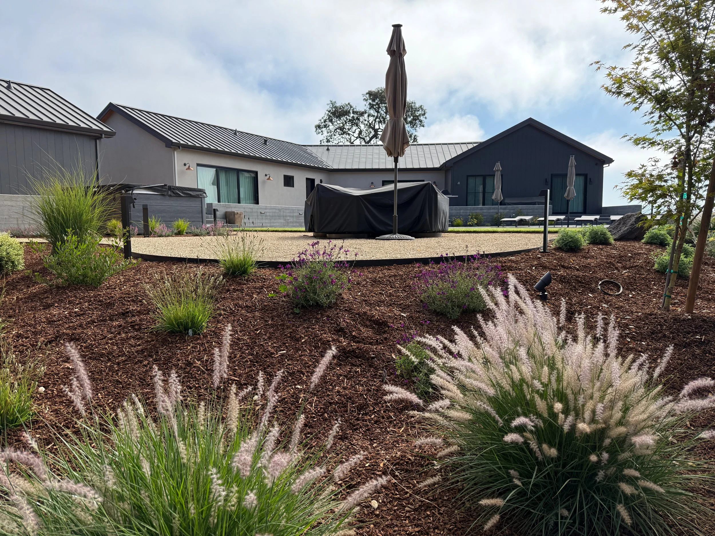 Ornamental grasses set behind Sonoma Gold gravel patio.