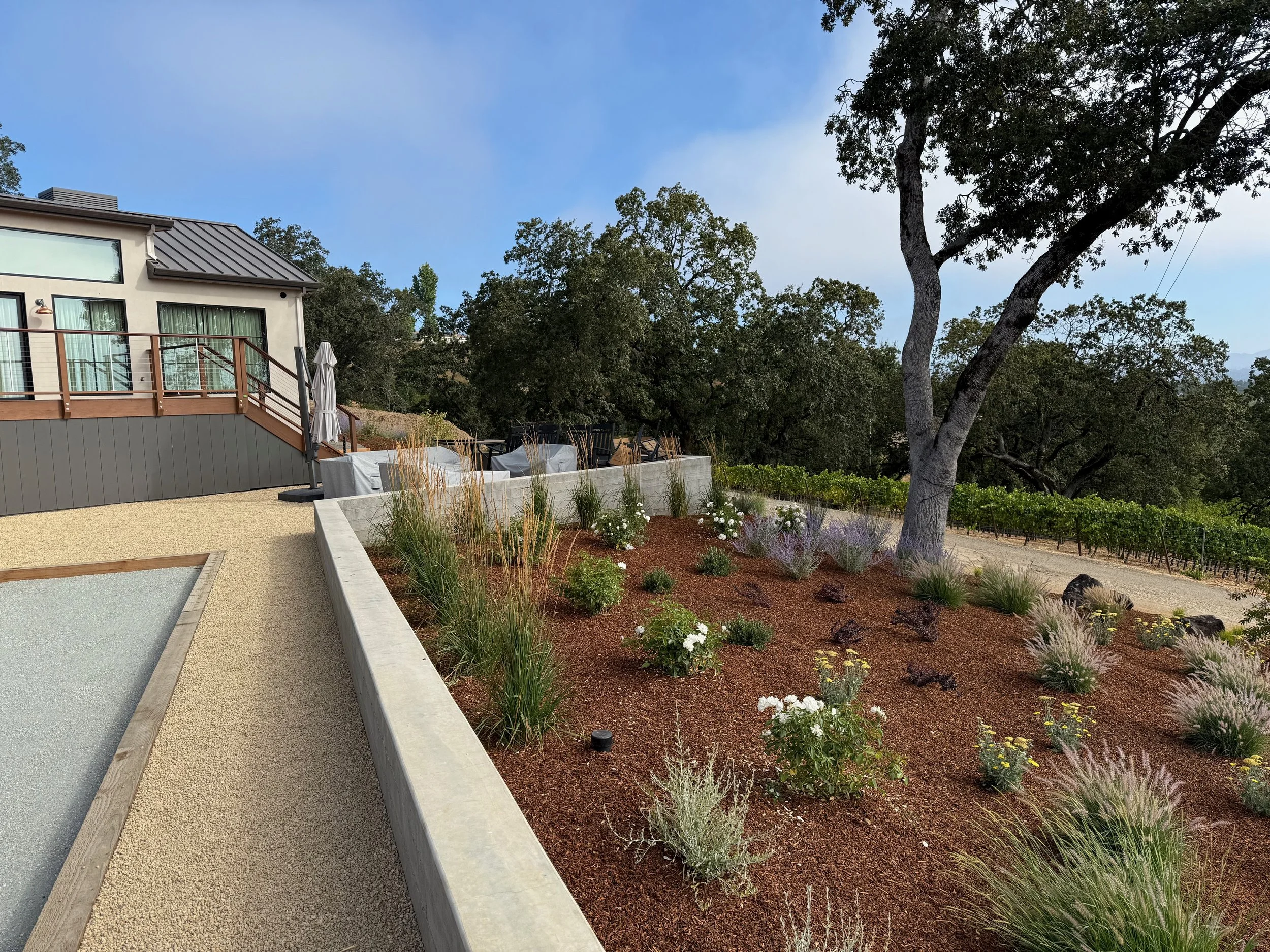 Bocce ball court with hillside landscaping and native oak tree.