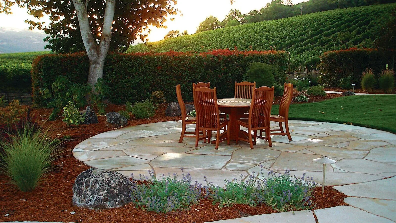 Winery Landscape