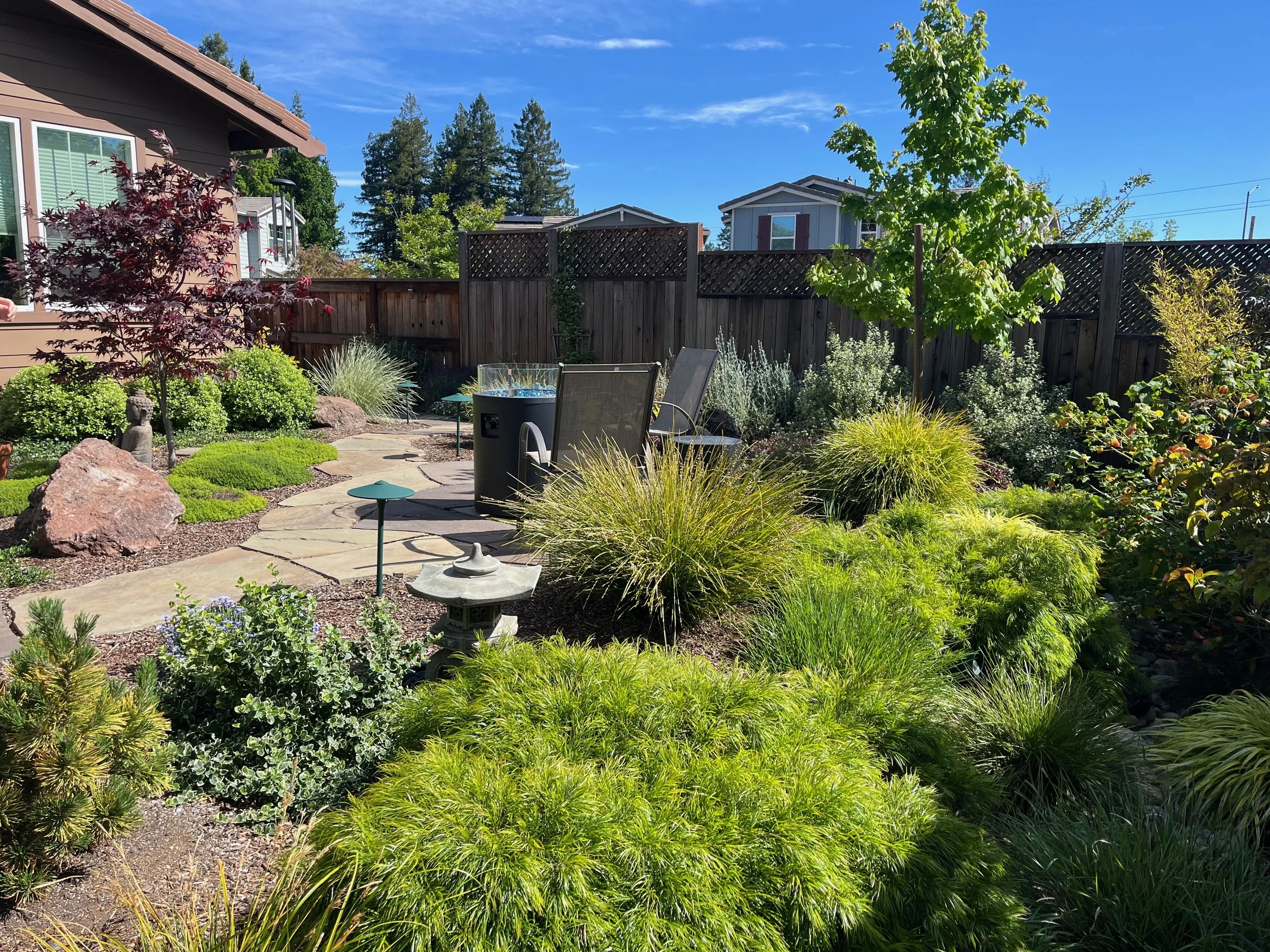 Japanese style garden in Cotati, CA.
