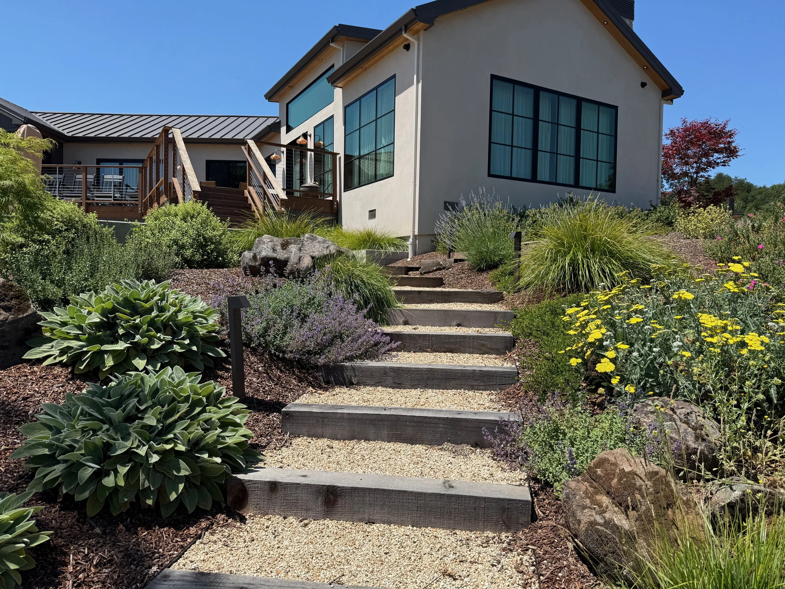Gravel and wood steps with surrounding native plants in Windsor, CA.