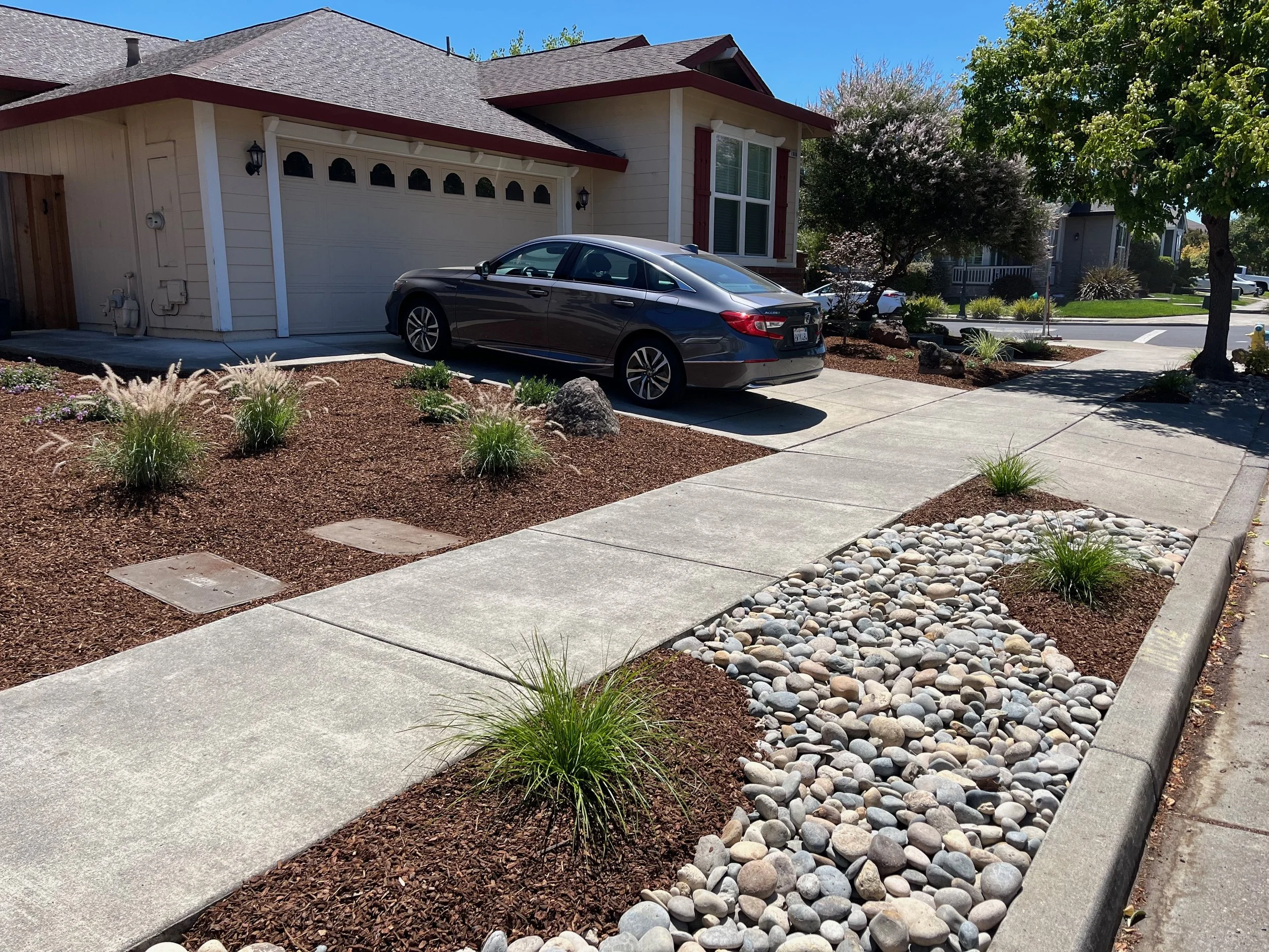 Cobble median strip with grasses in Windsor, CA.