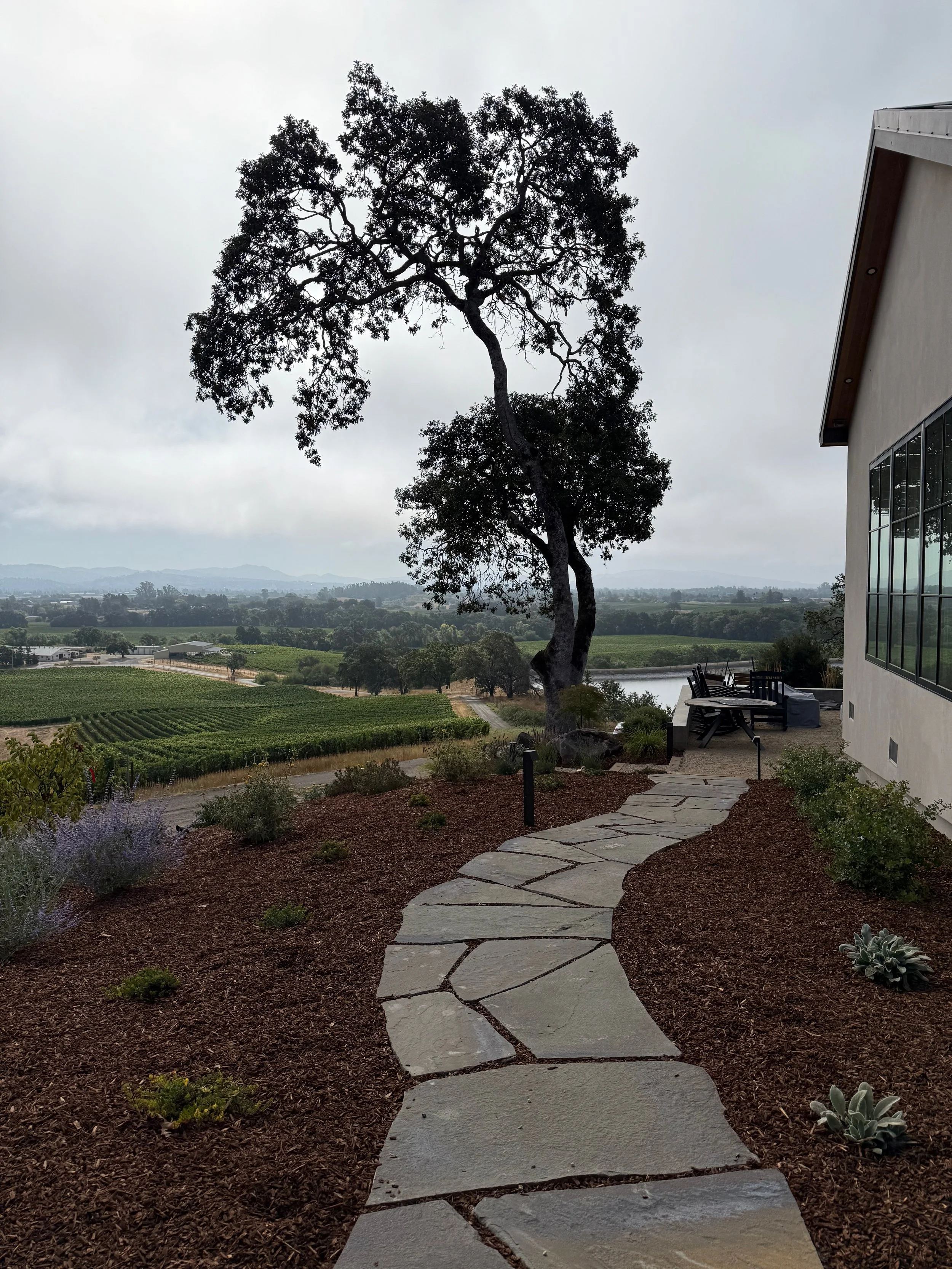 Bluestone walkway meandering through native landscape to Bocce court and gravel patio. 