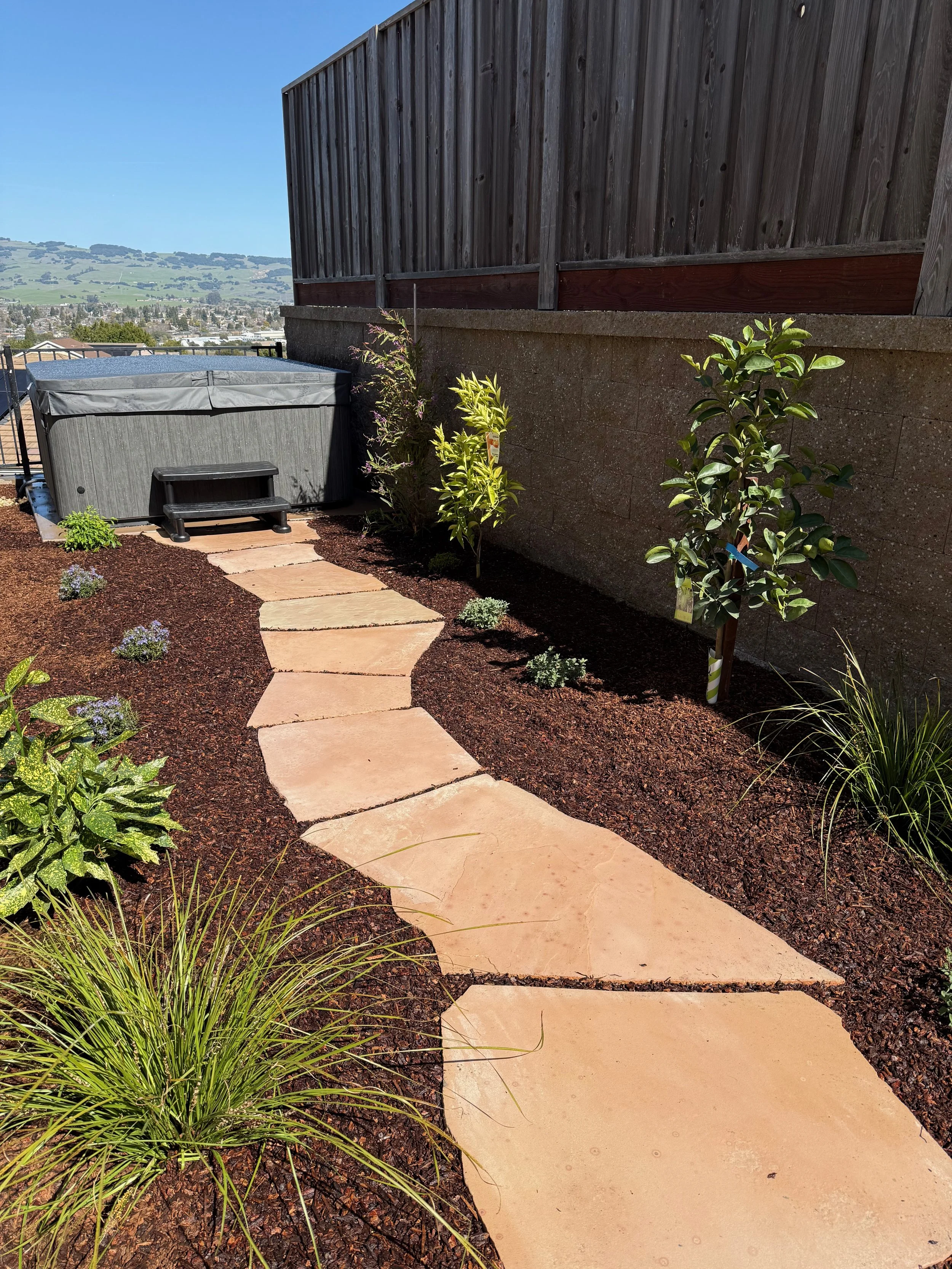 Flagstone walkway leading to hot tub and low maintenance plants in Petaluma, CA.