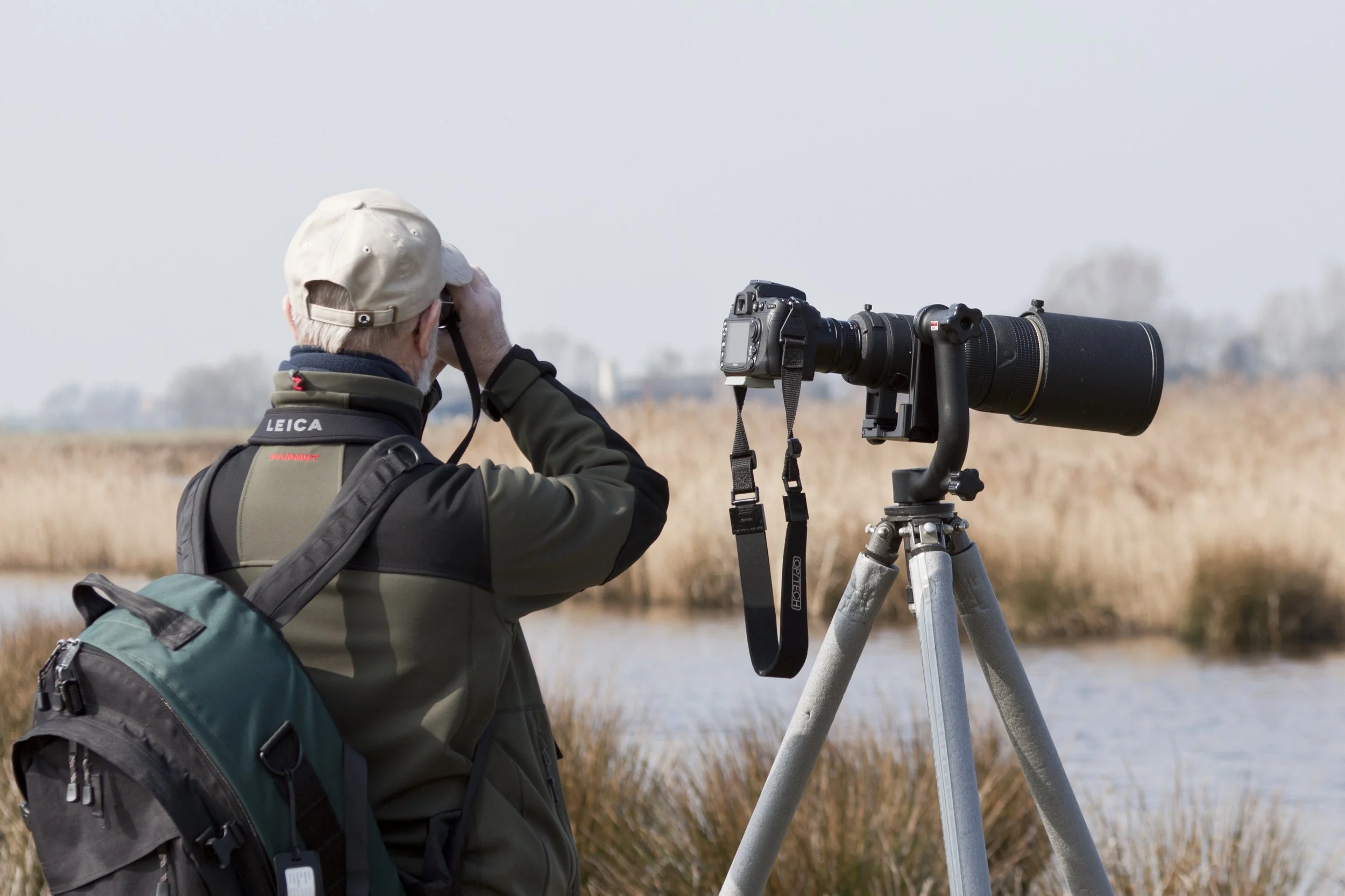 Wildlife Viewing — Responsive Management