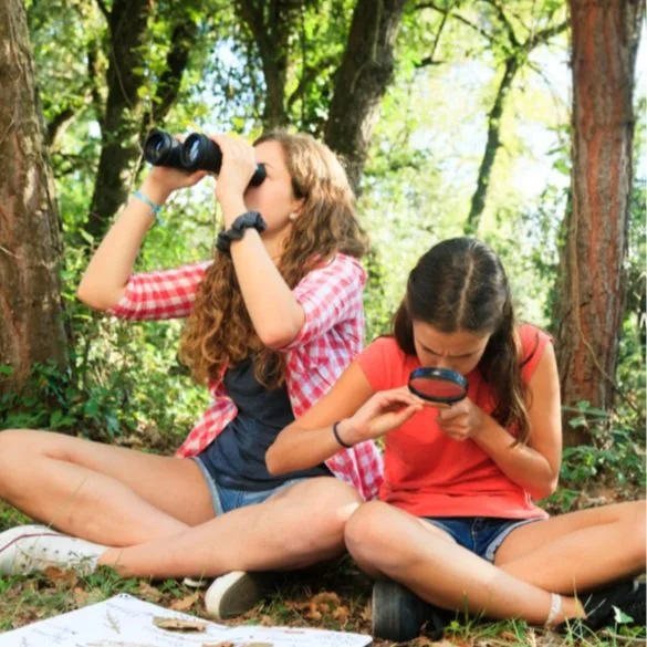 Wildlife watching program assessment and evaluation