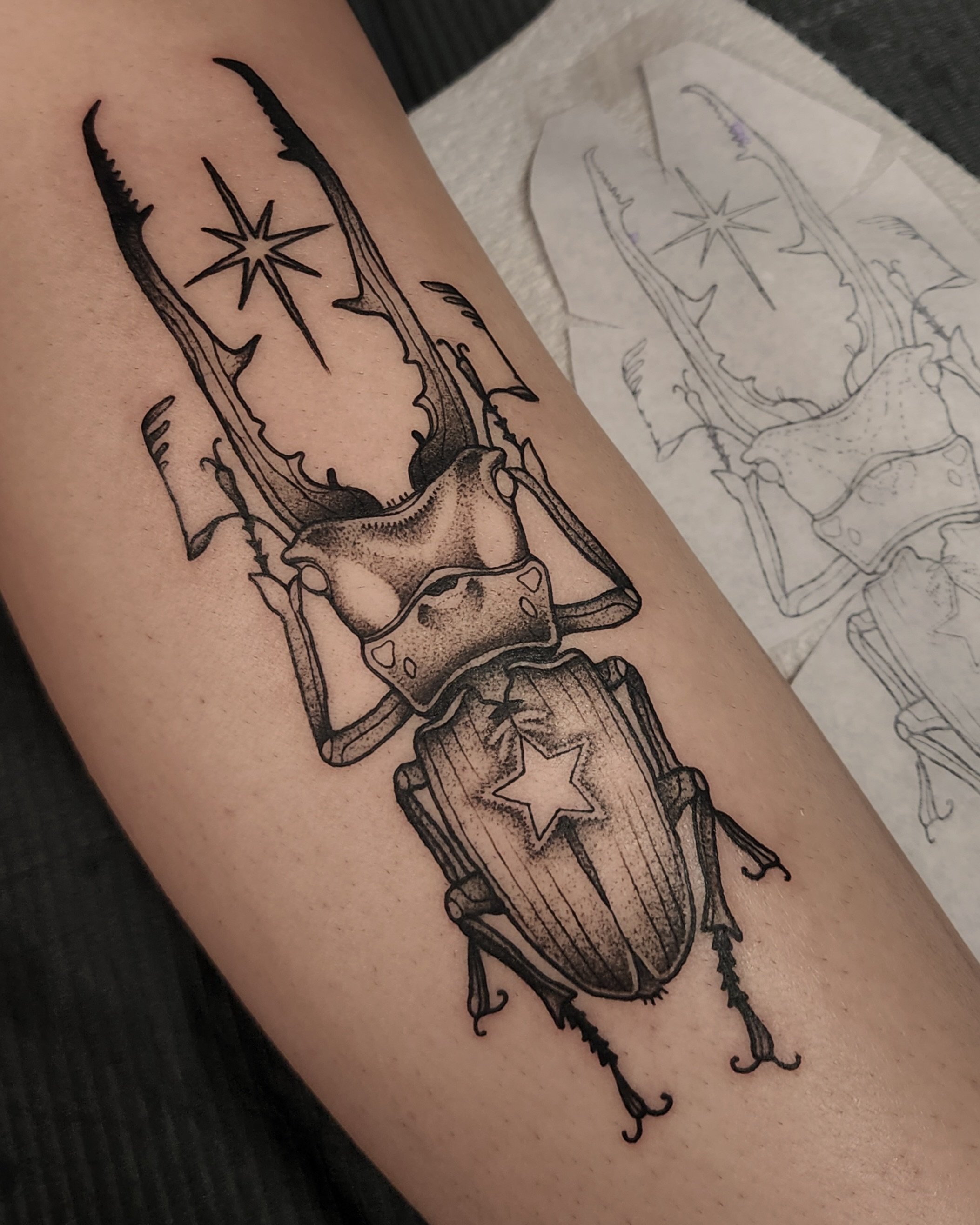 20250809_194900 3 Edited (1).jpg