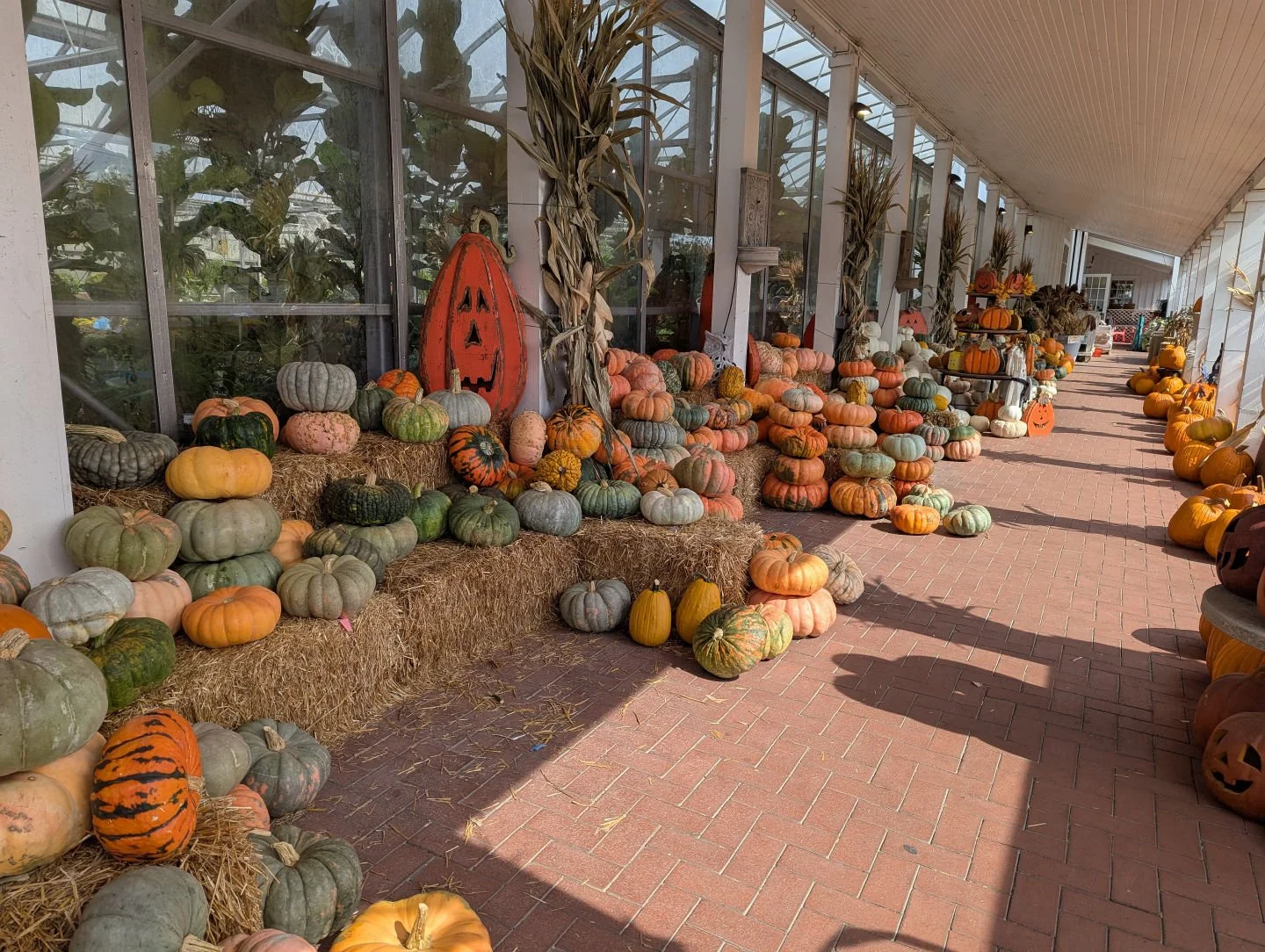 🍂🎃 Nothing says fall like pumpkins &amp; mums! We stopped by our neighbors at Oakland Nursery and gave our front entrance a seasonal refresh. Stop by and soak in the autumn vibes! 🍁✨