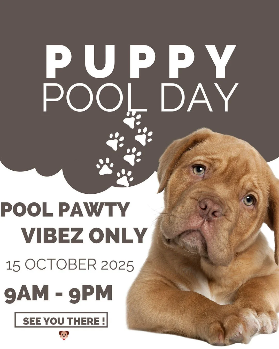 Little paws 🐾. Big splash 🌊. Endless joy 🐶.