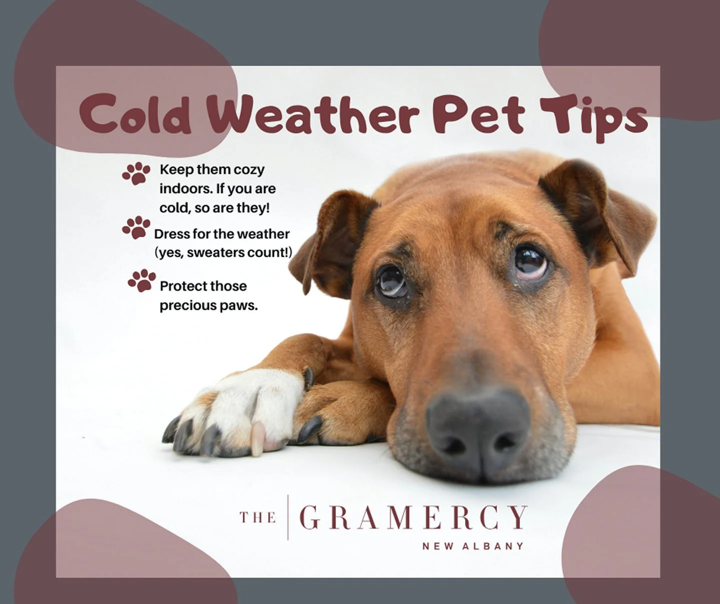 🐶🐱 Brrr! It&rsquo;s chilly out there!The Gramercy cares about our furry friends &mdash; keep them safe, cozy, and paw-sitive this winter! ❄️💛
#TheGramercy #CozyCritters #WinterPetCare